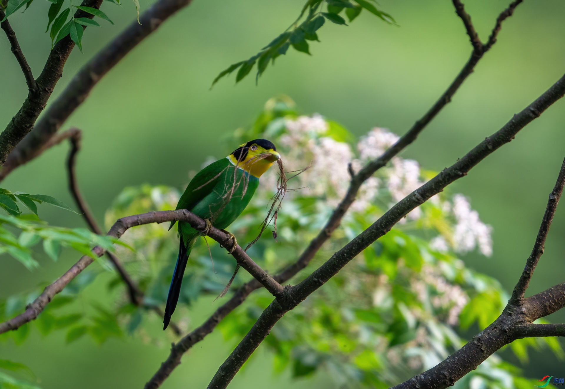 DSC_8393-1.jpg