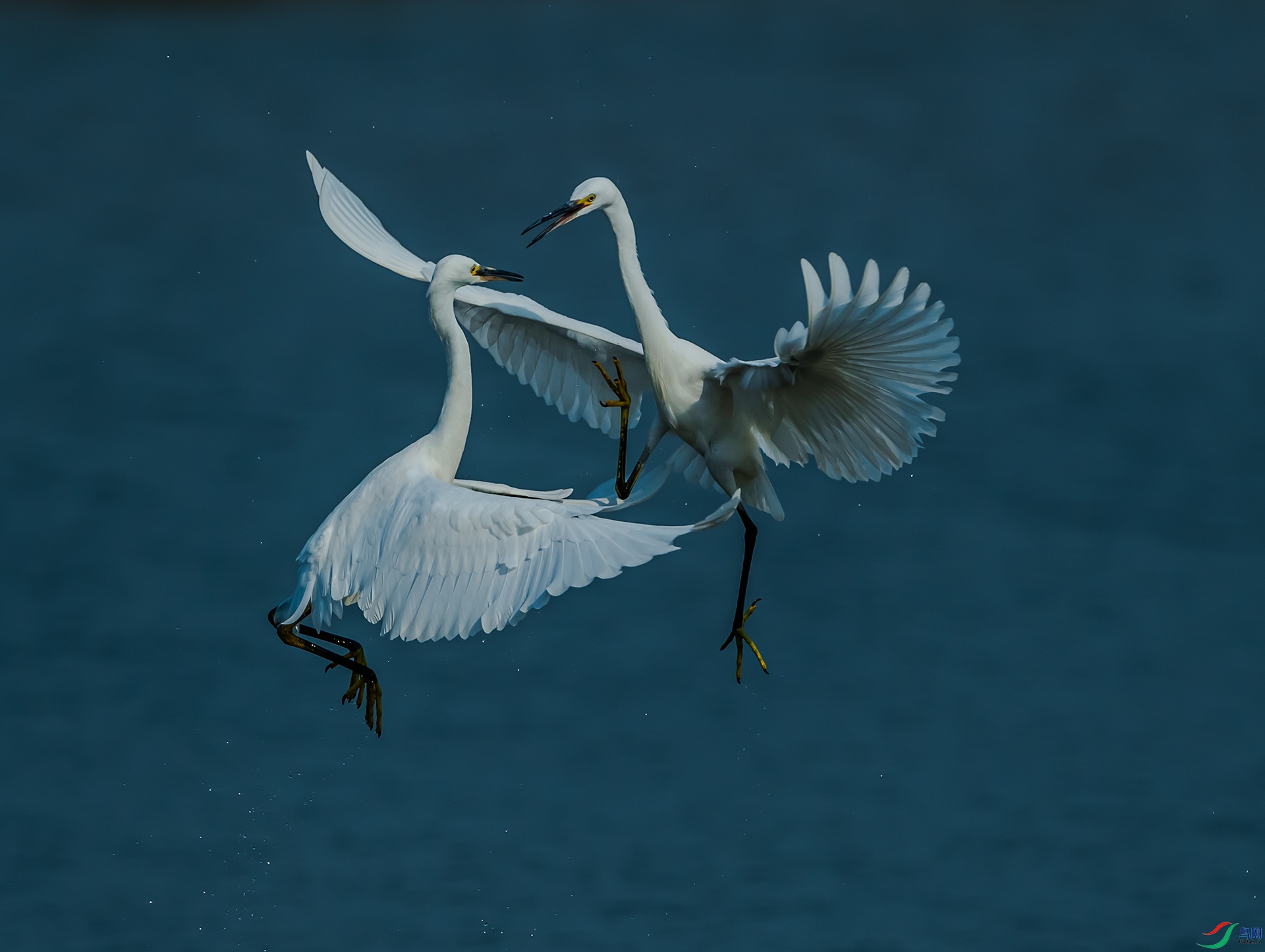 DSC_5917.jpg
