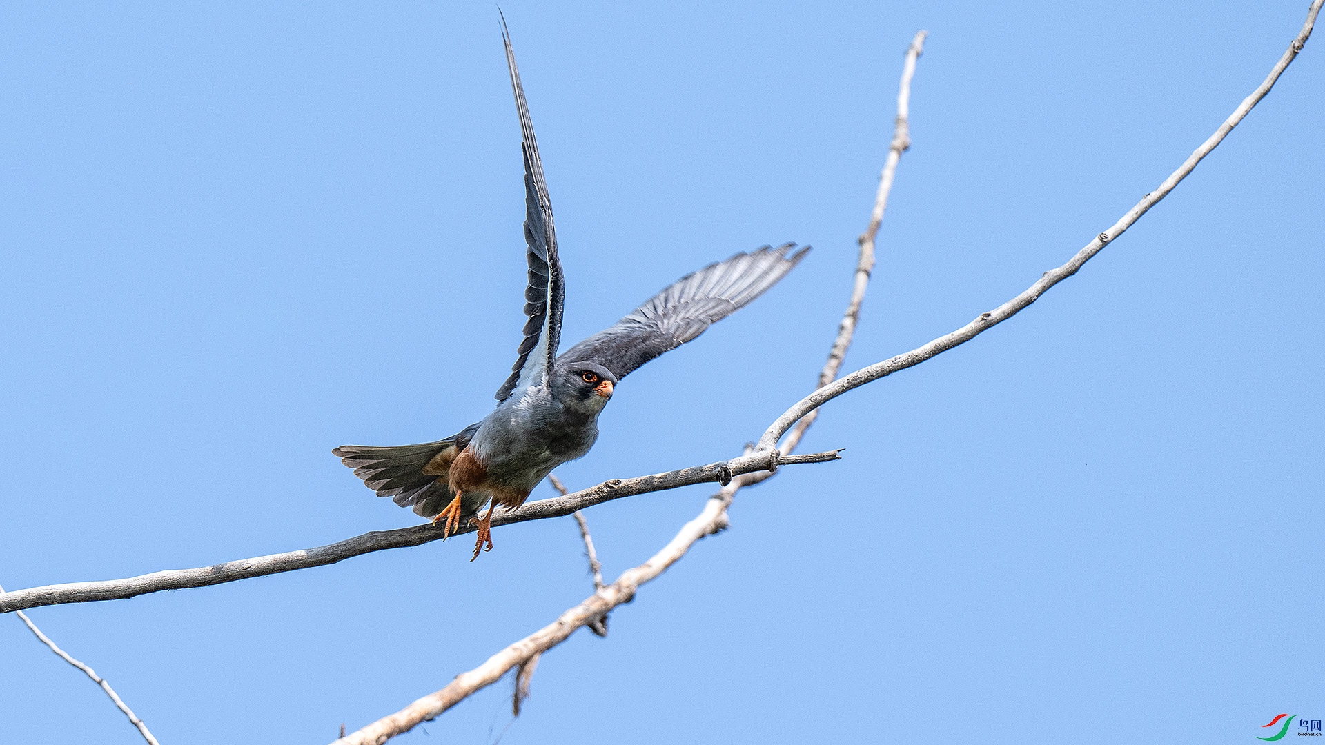 DSC_9219.jpg