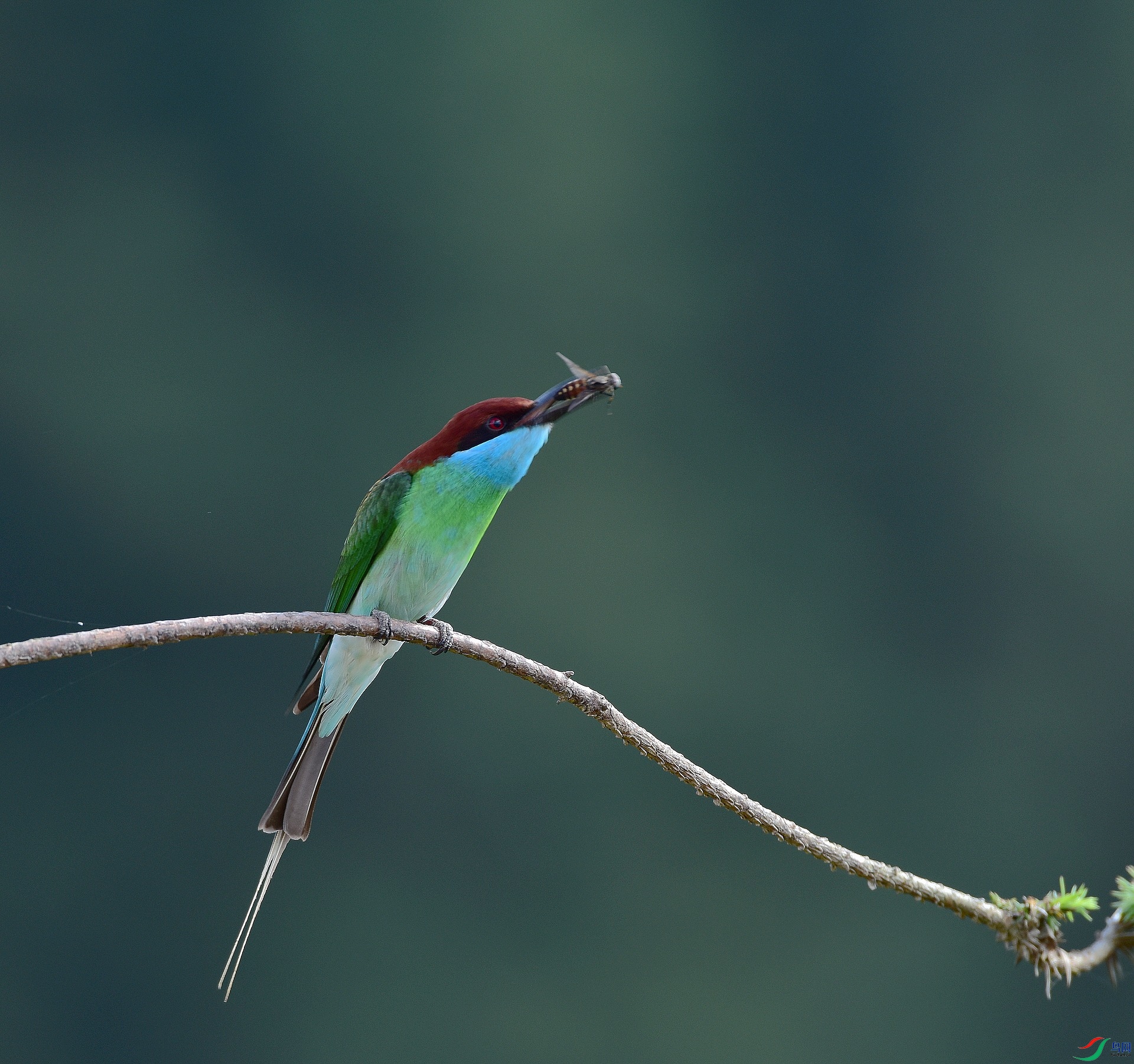 D8I_0815.jpg
