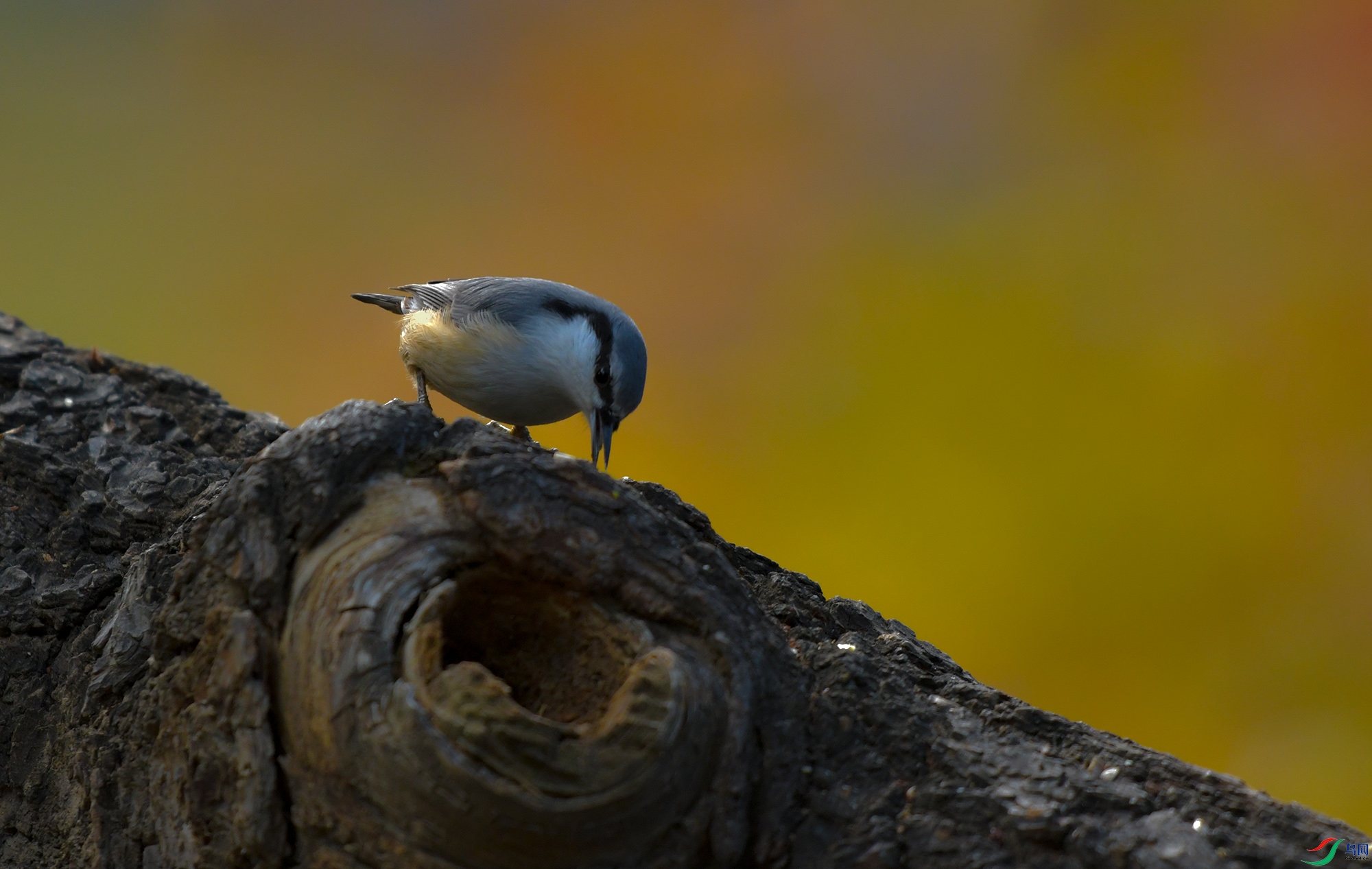 DSC_3220.JPG