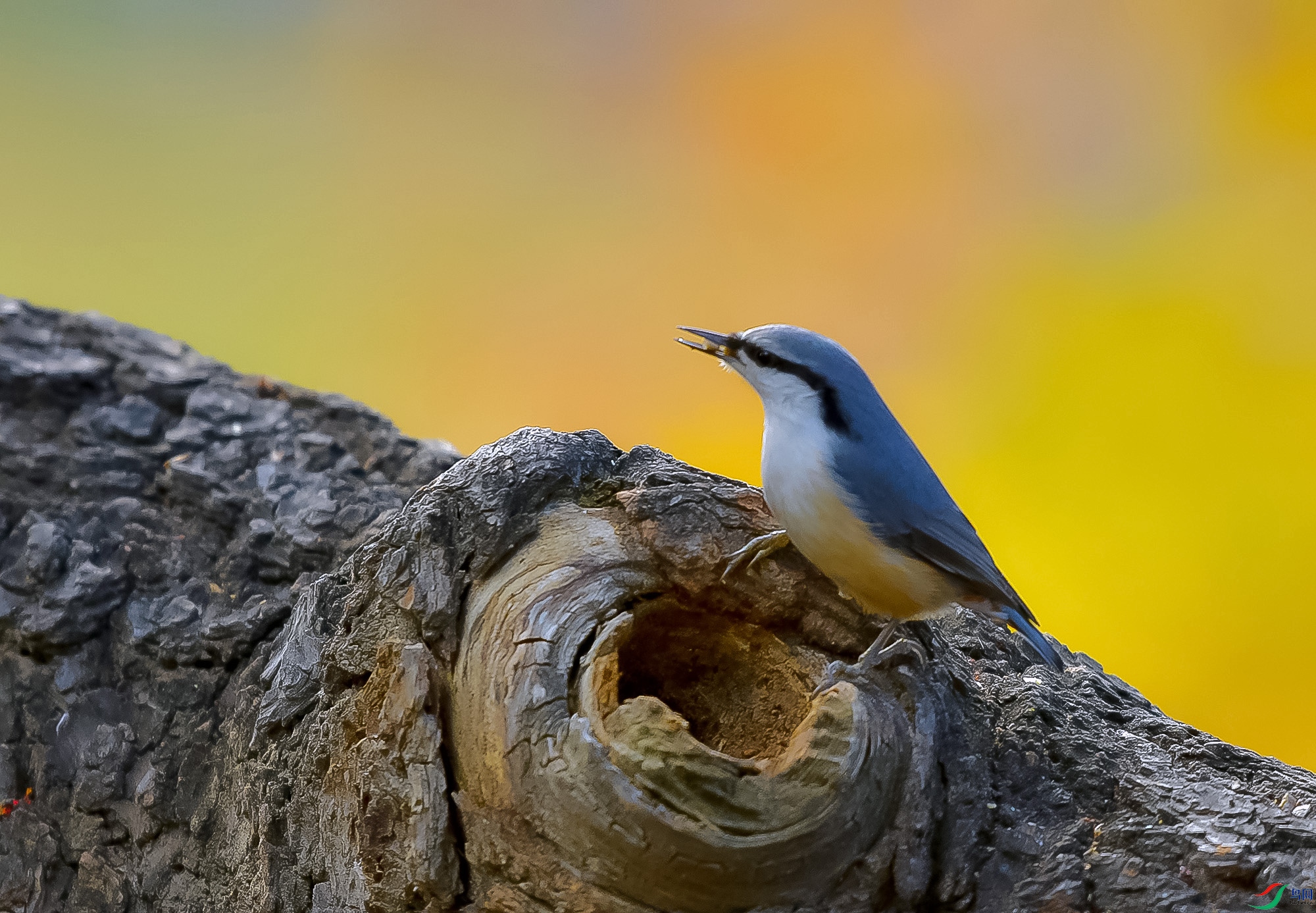 DSC_3259.JPG