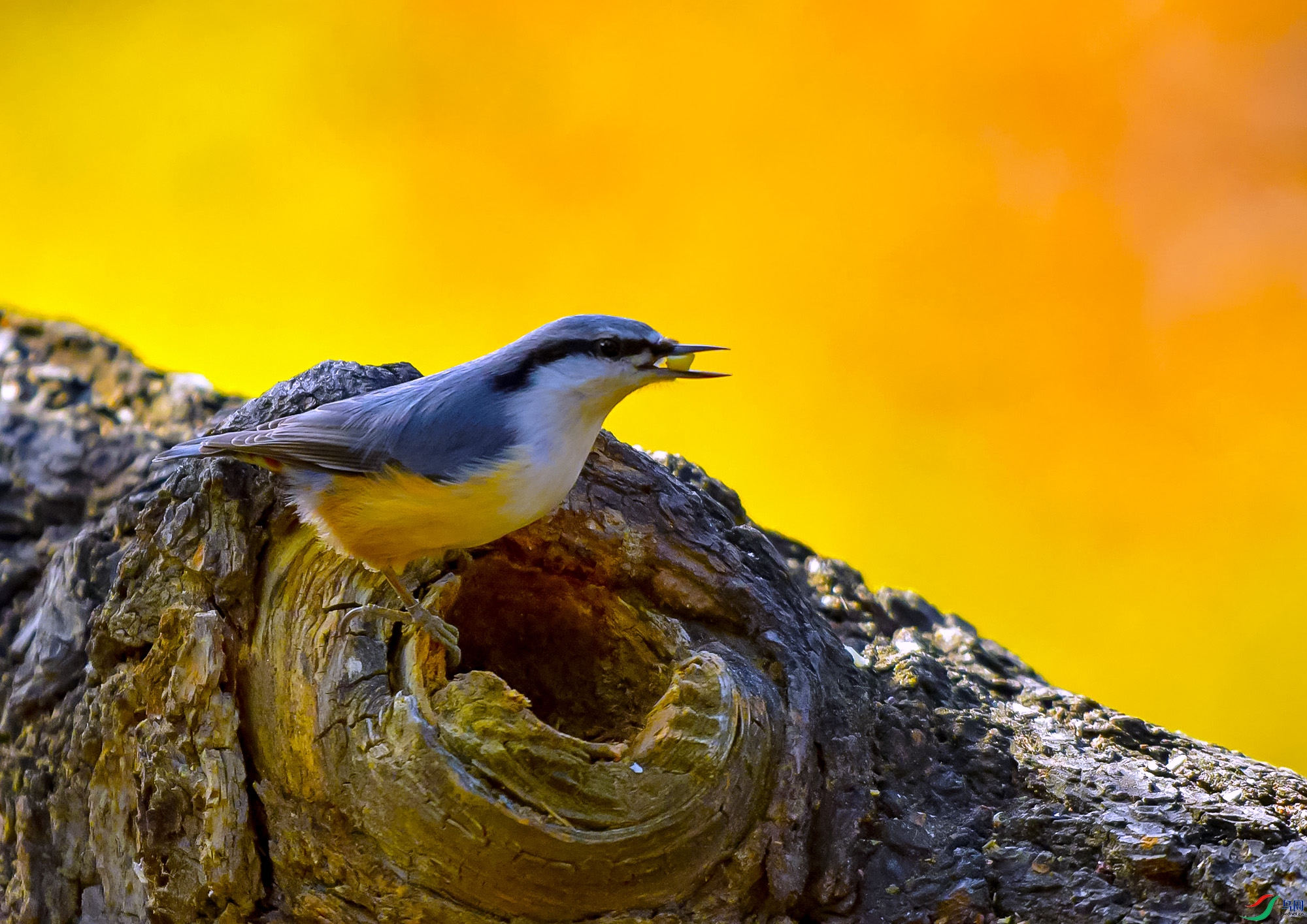 DSC_3313.JPG