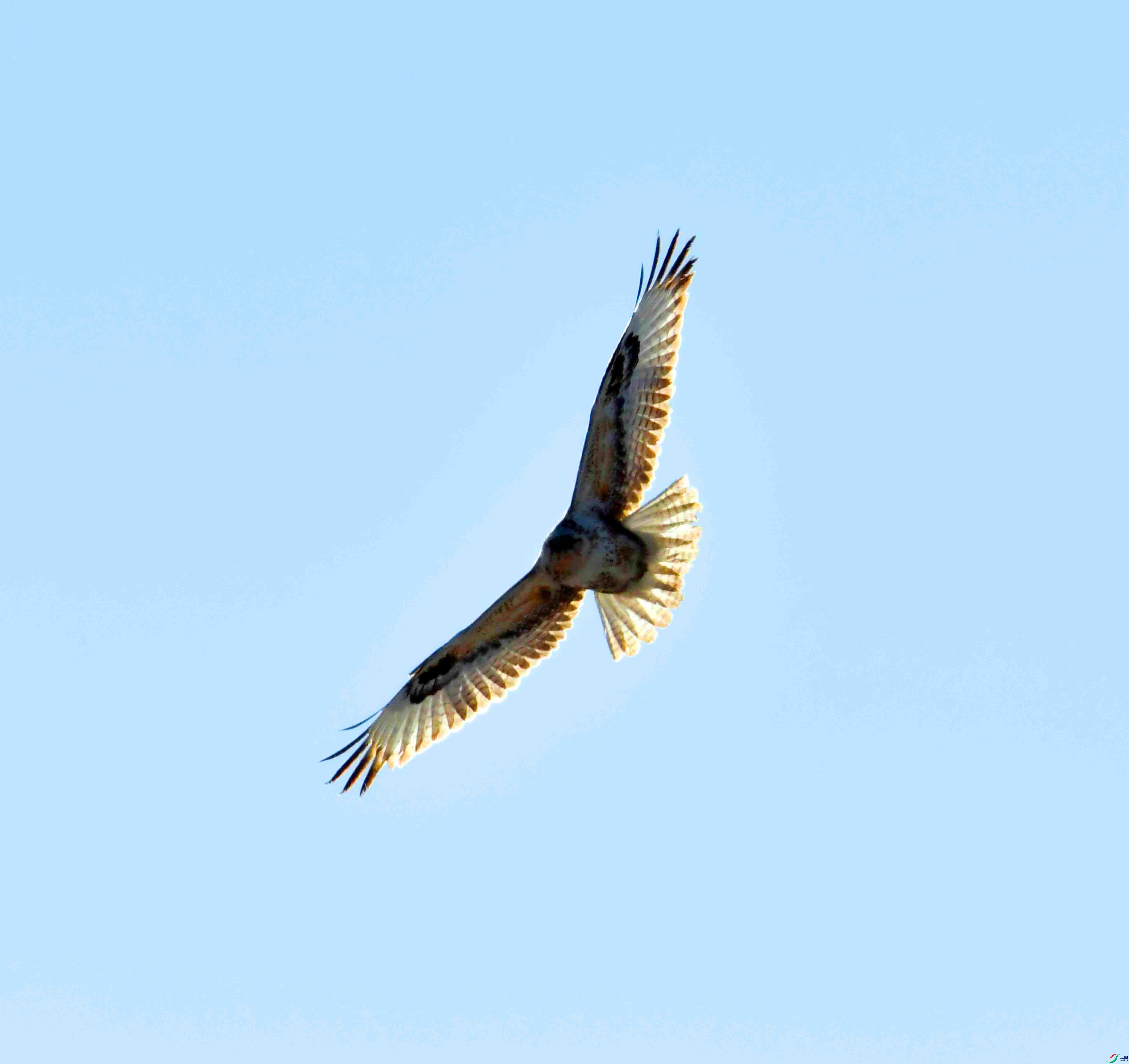DSC_1012.JPG