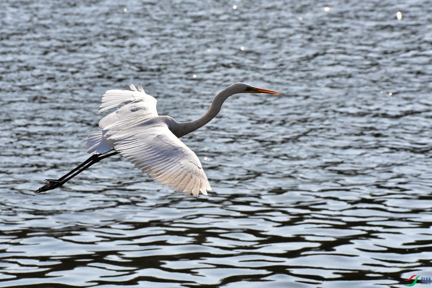 DSC_5974.JPG