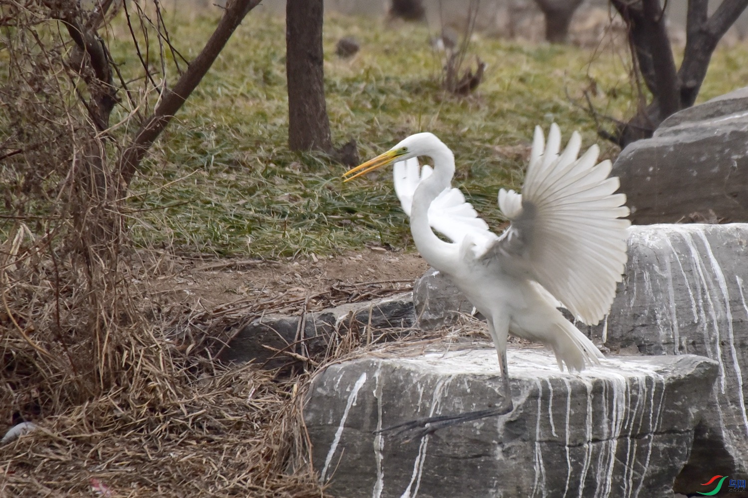 DSC_7287.JPG