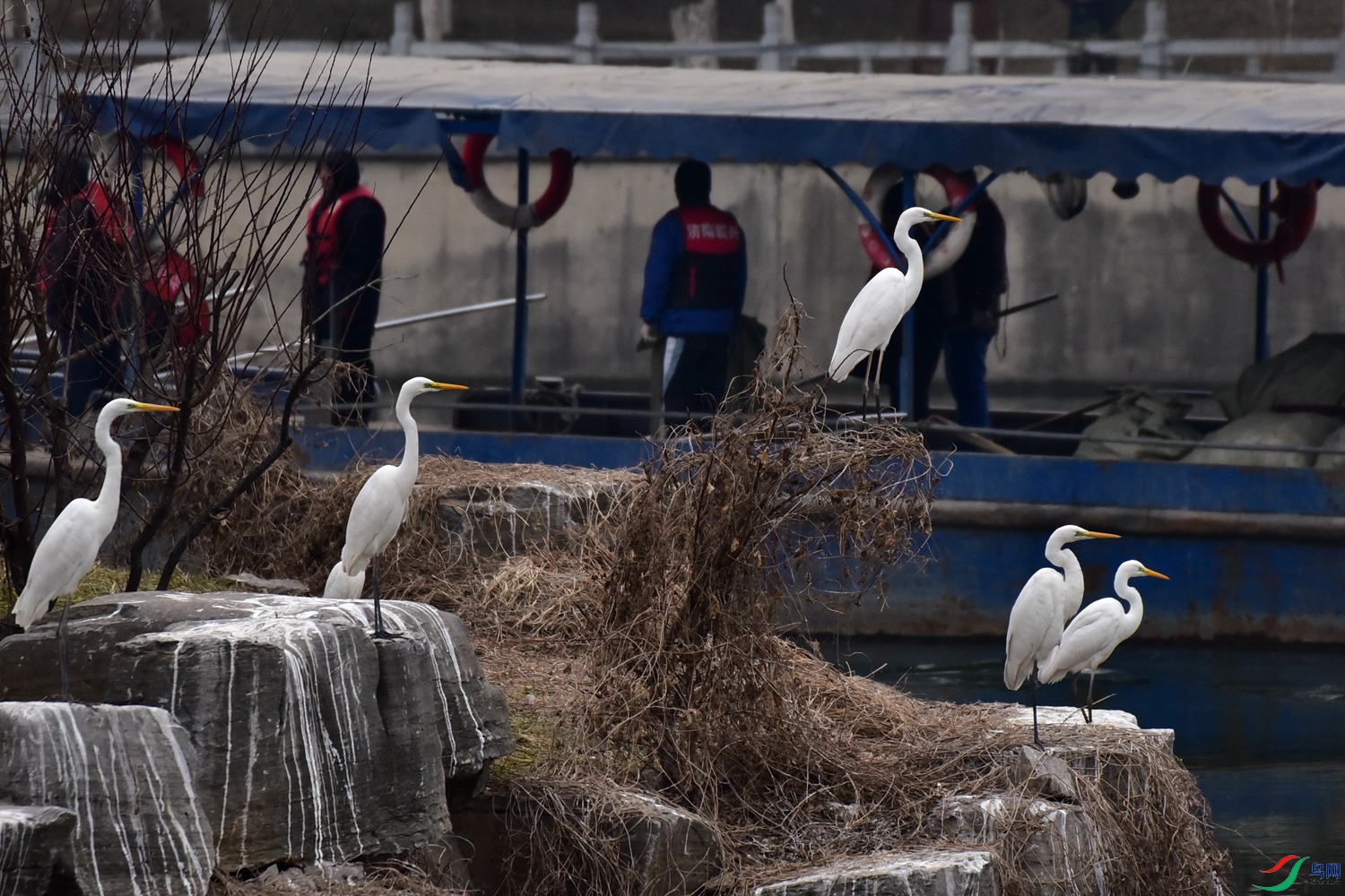 DSC_7056.JPG