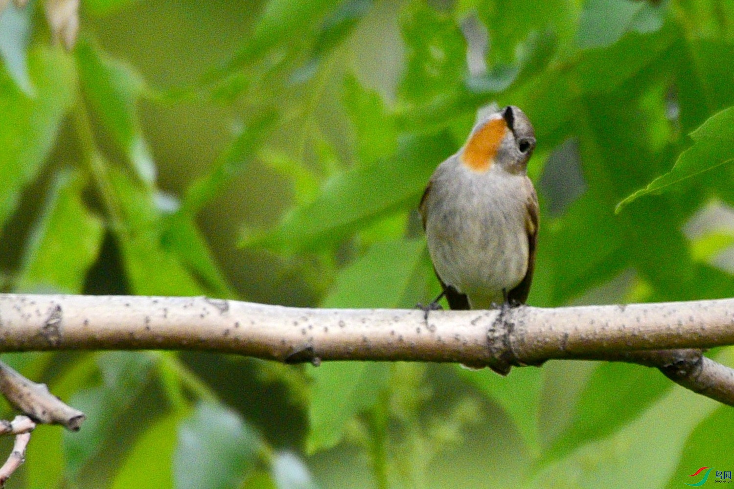 DSC_1808.JPG