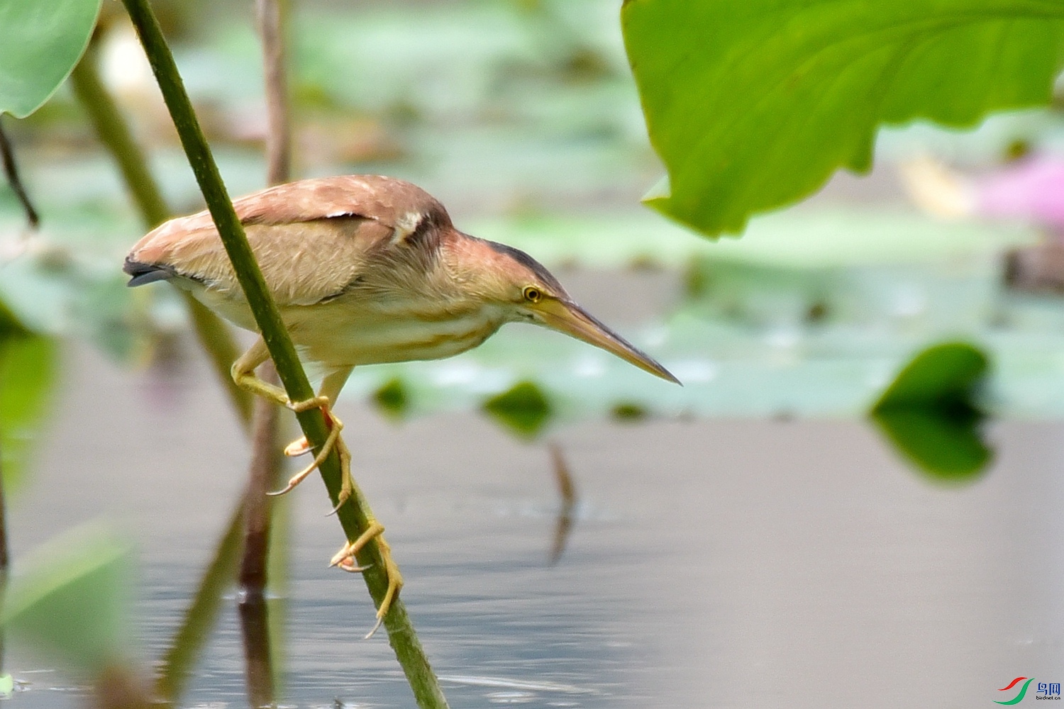 DSC_7651.JPG