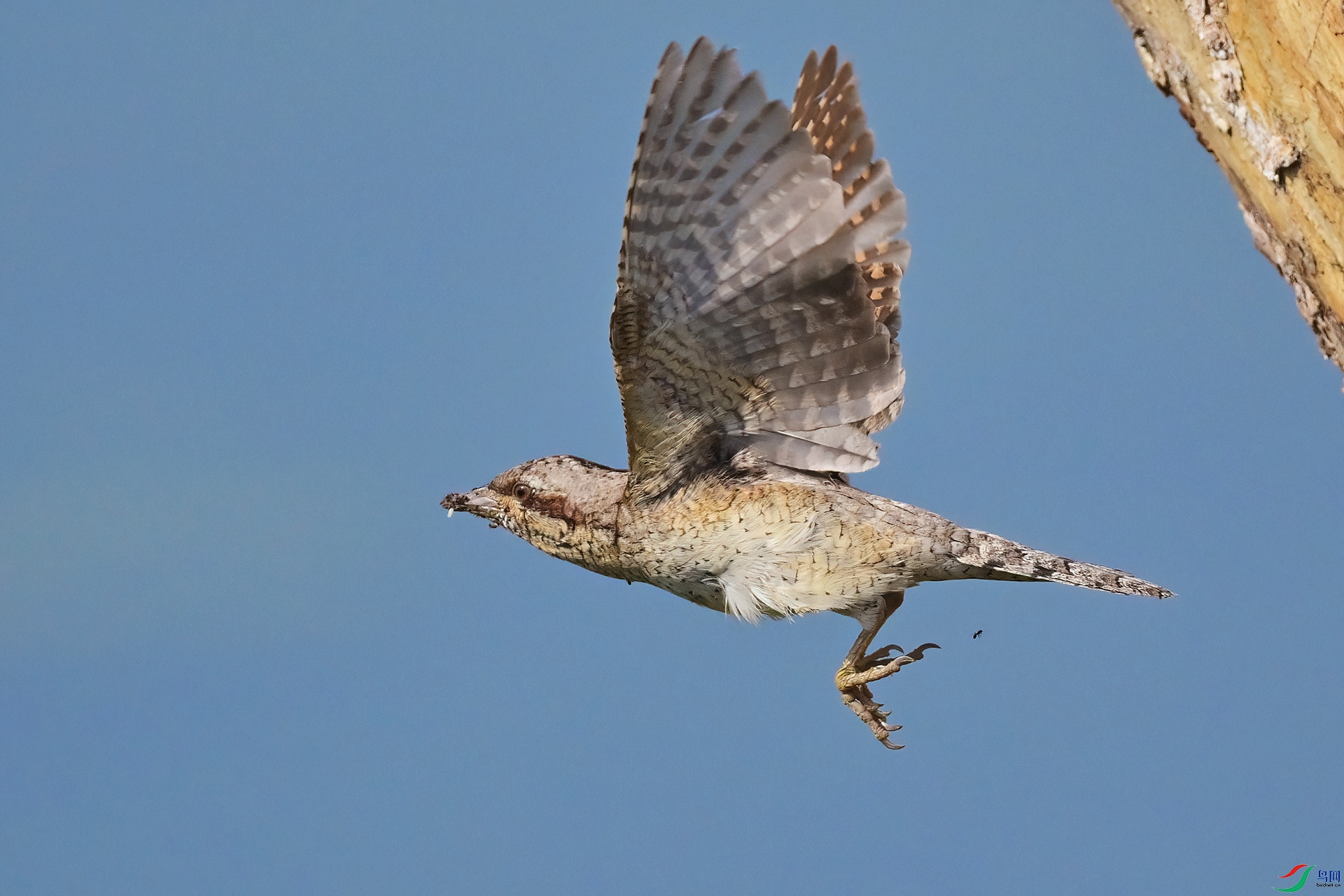 DSC_5831-N.jpg
