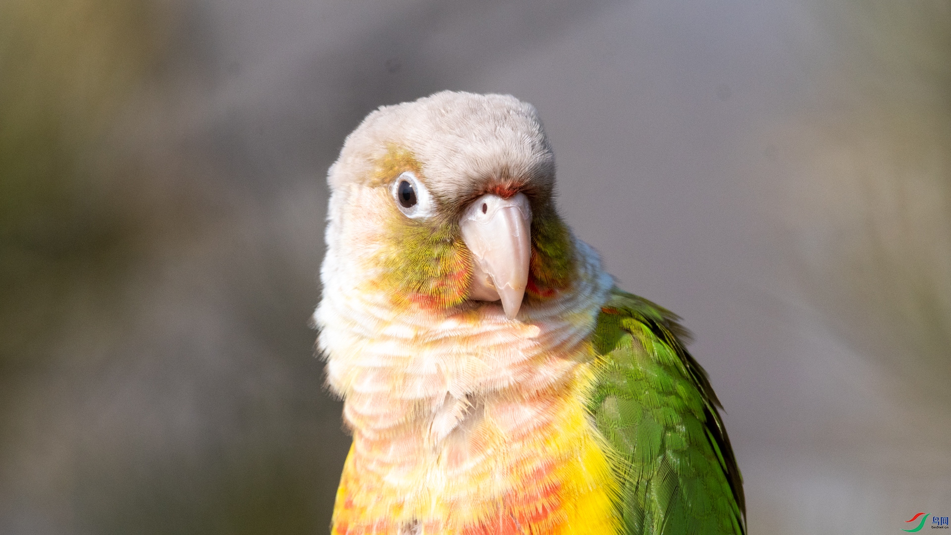 DSC_4243.jpg