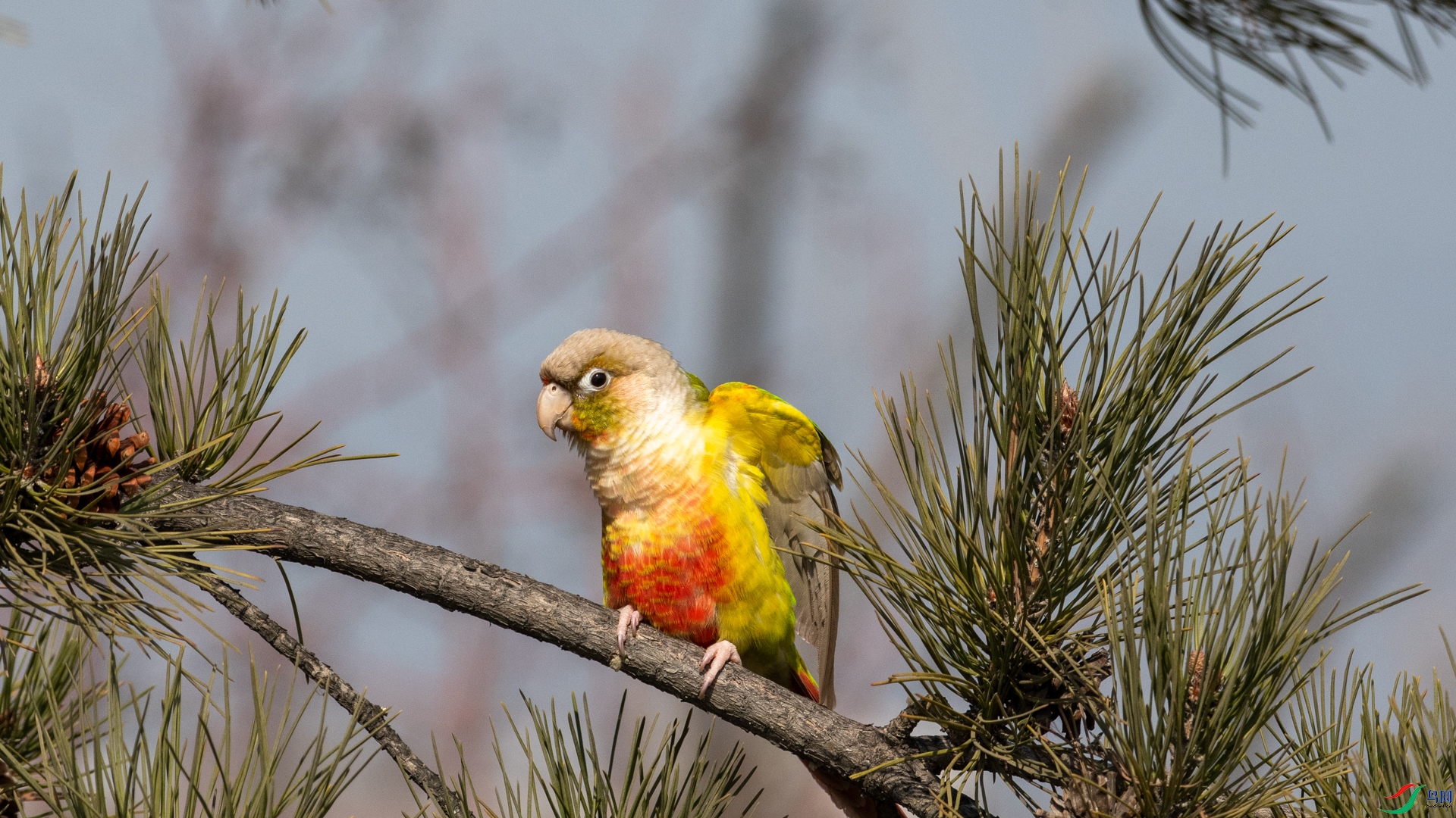 DSC_4274.jpg