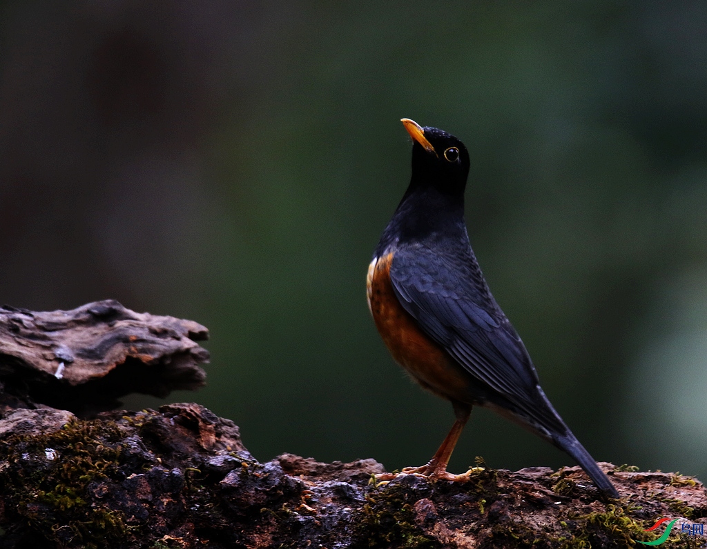 ���� 0F4A0128-1-5.JPG