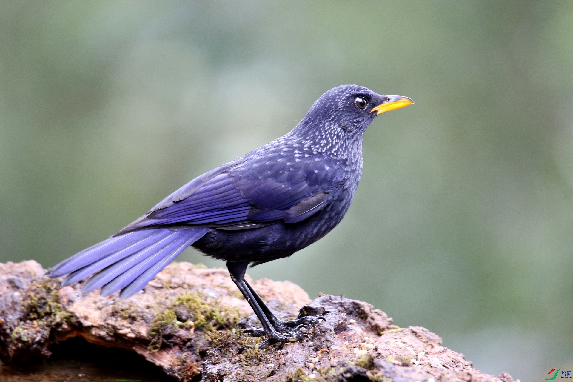 ���� 0F4A9943-4.JPG