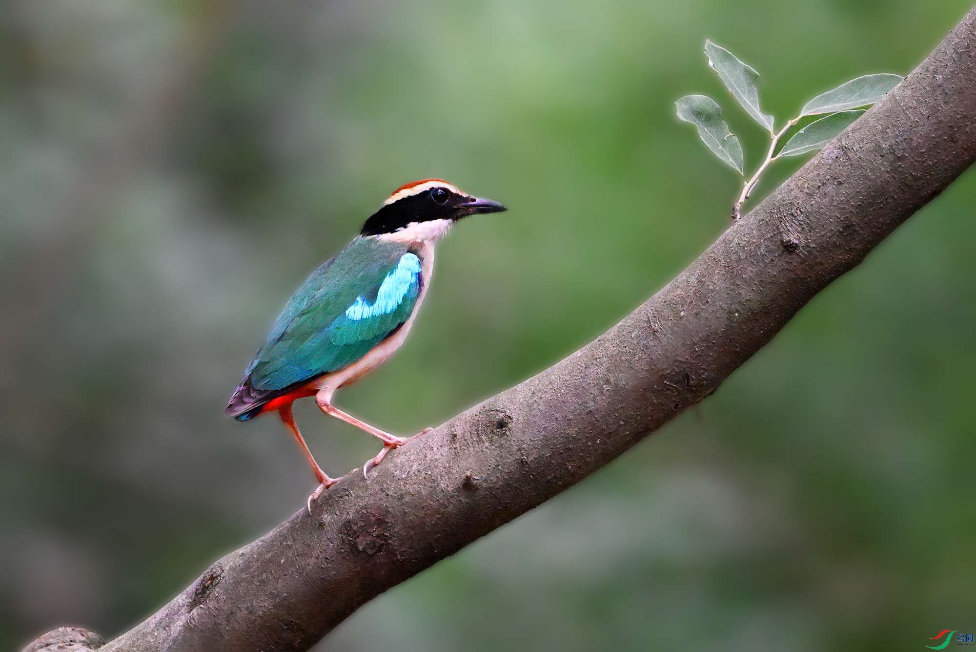 DSC_7482 - ����_.jpg