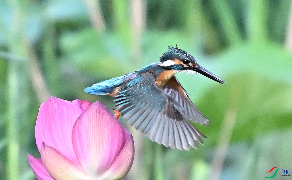 DSC_3423.JPG
