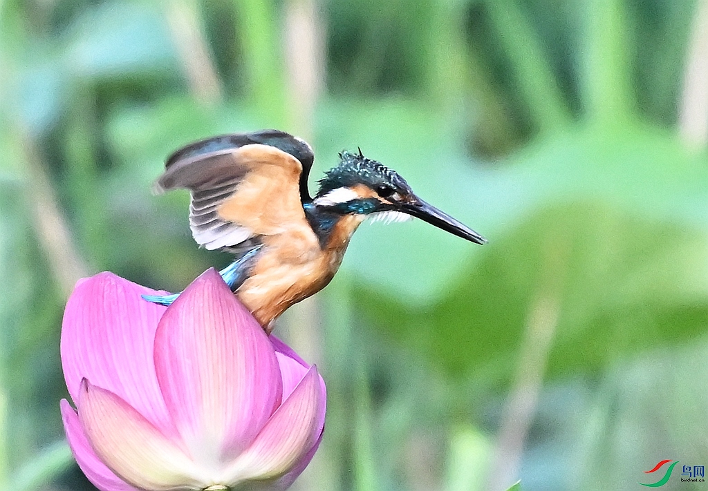 DSC_3422.JPG