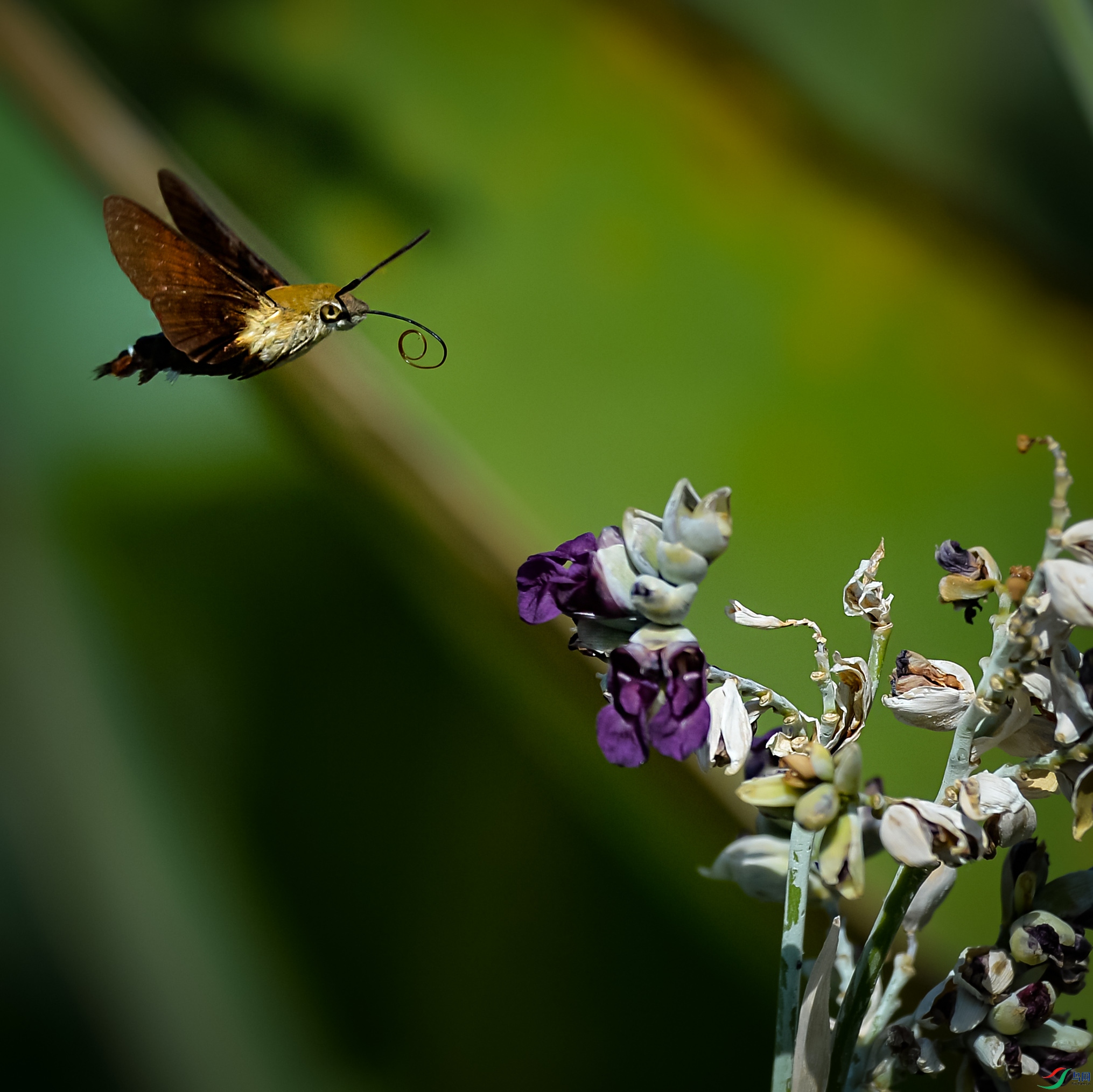 DSC_0886.jpg