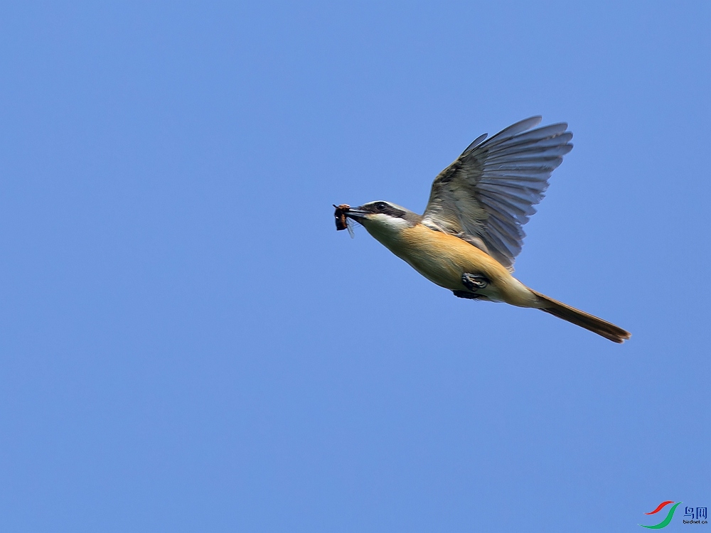 P6262429_DxO - ����.jpg