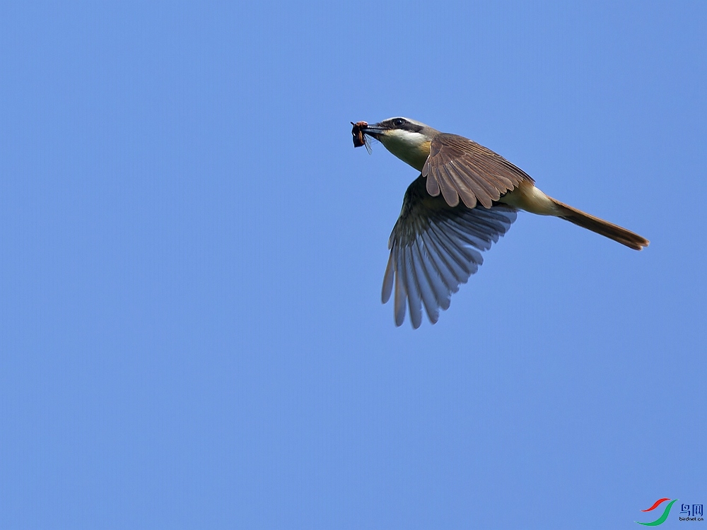 P6262431_DxO - ����.jpg