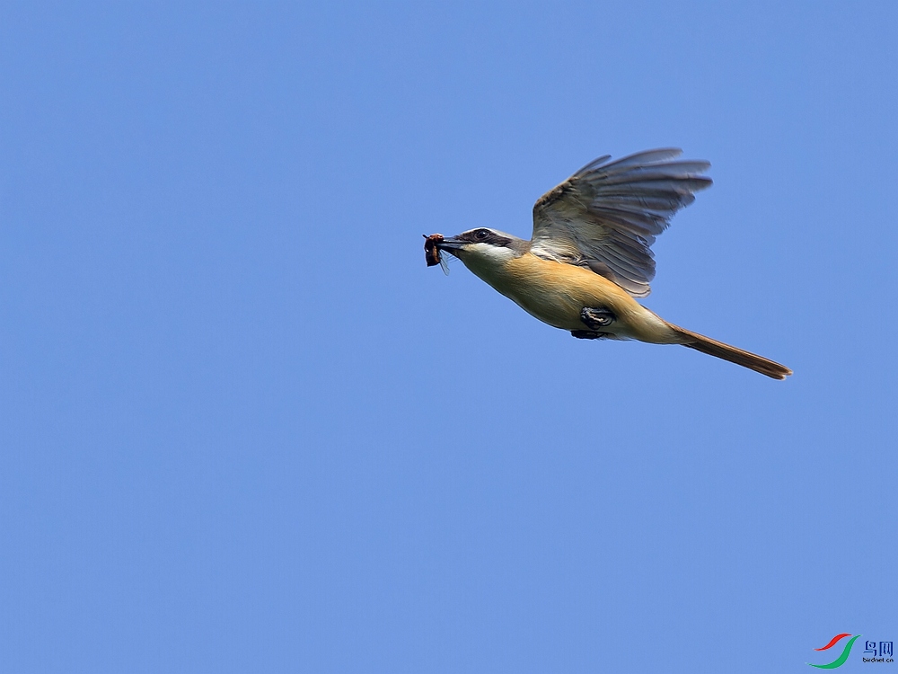 P6262433_DxO - ����.jpg