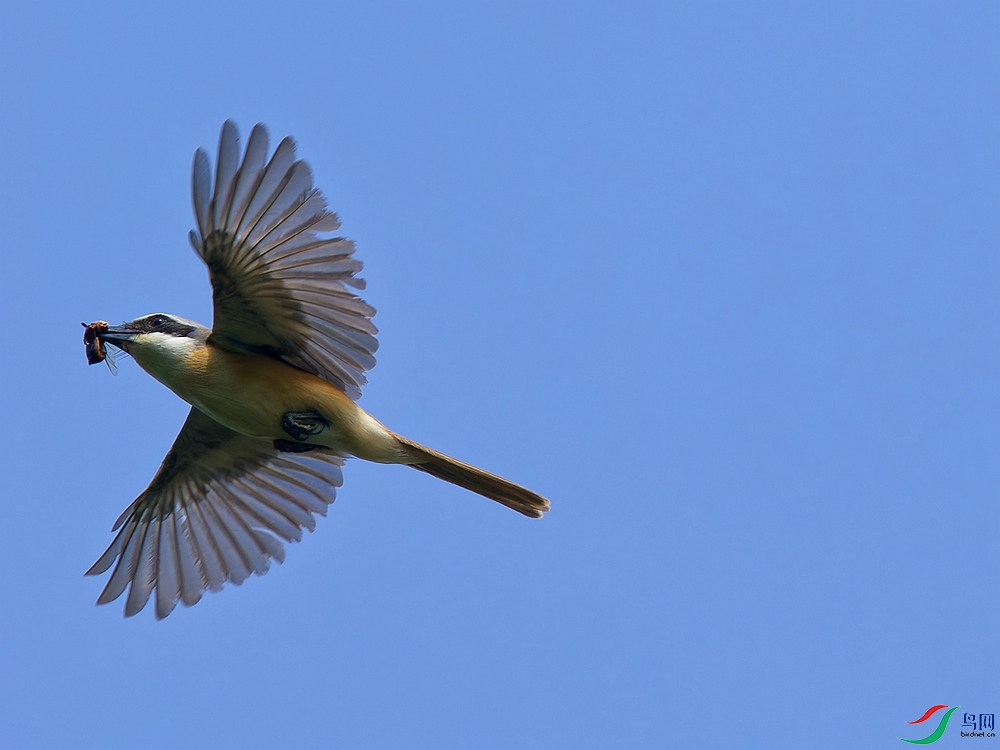 P6262436_DxO - ����.jpg