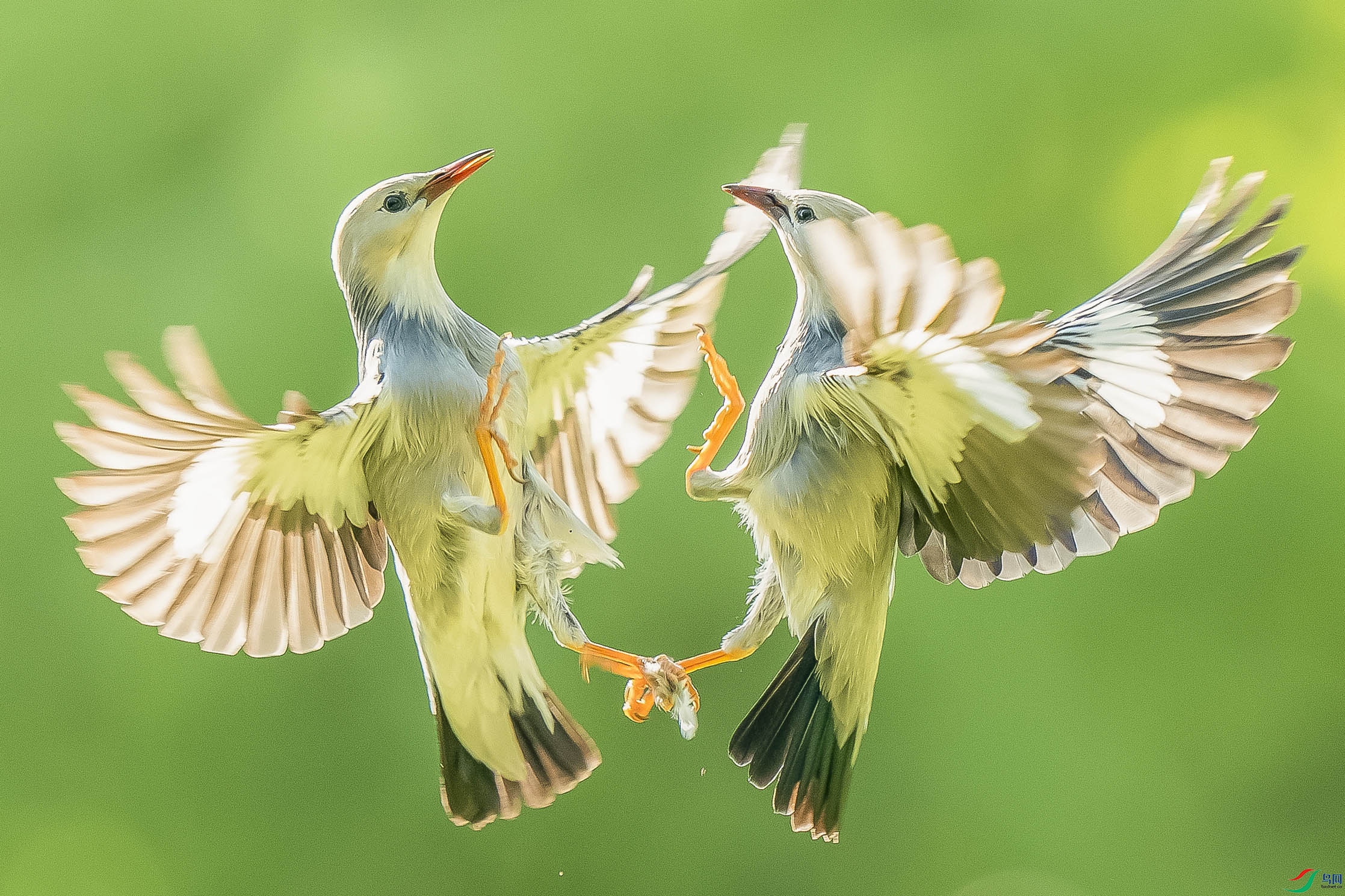 123131 ��������.jpg