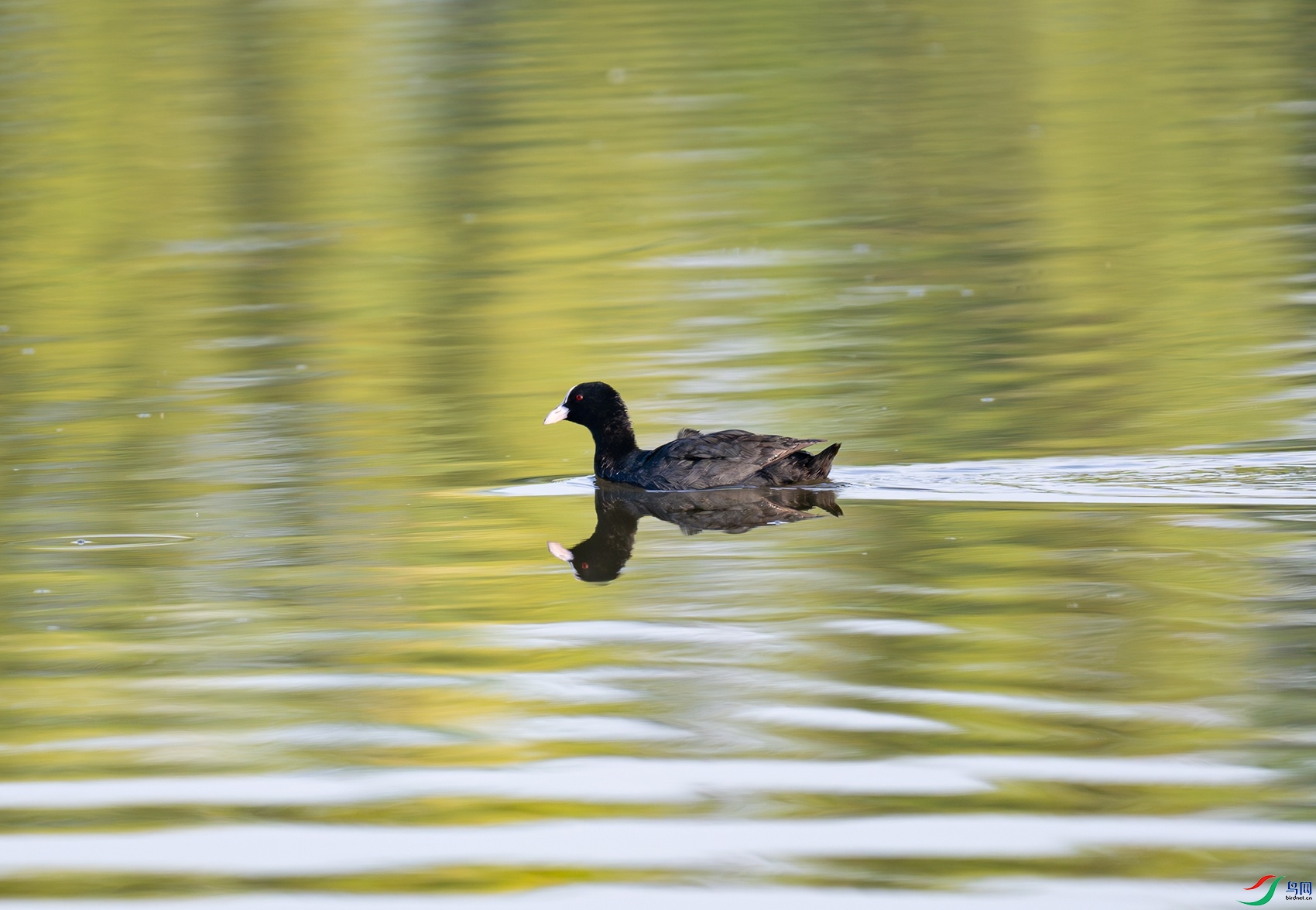_DSC4581f.jpg
