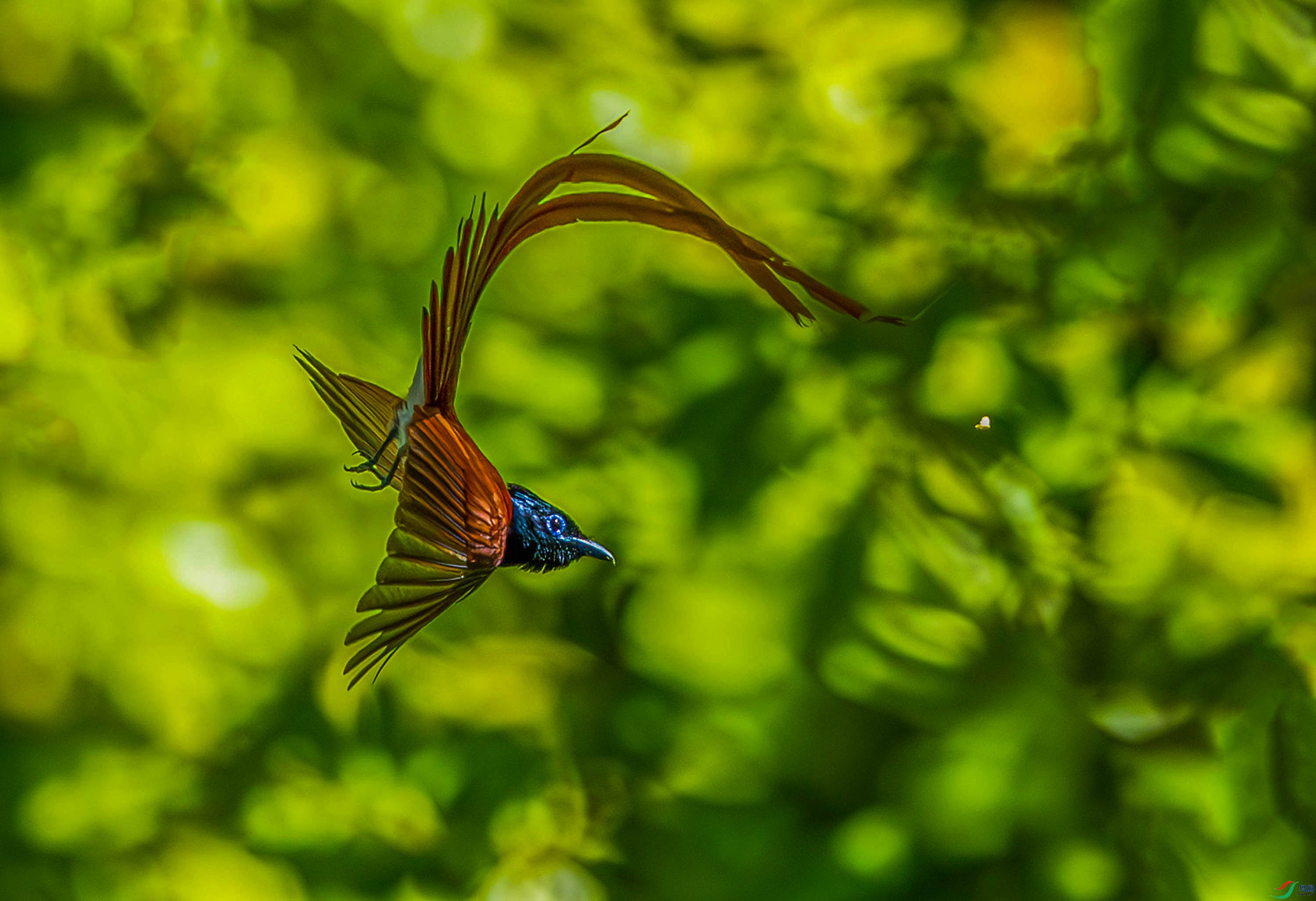 DSC_2585-����ǿ-NR.jpg