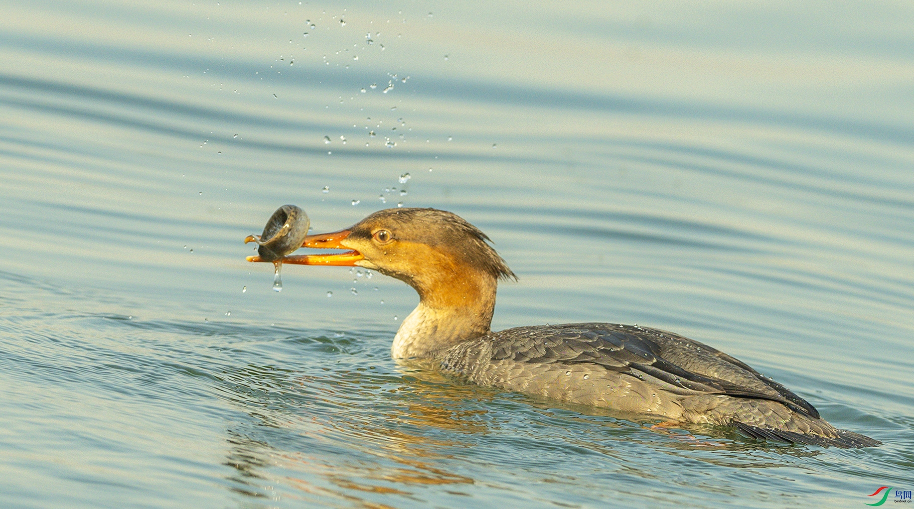 1404 ����.jpg