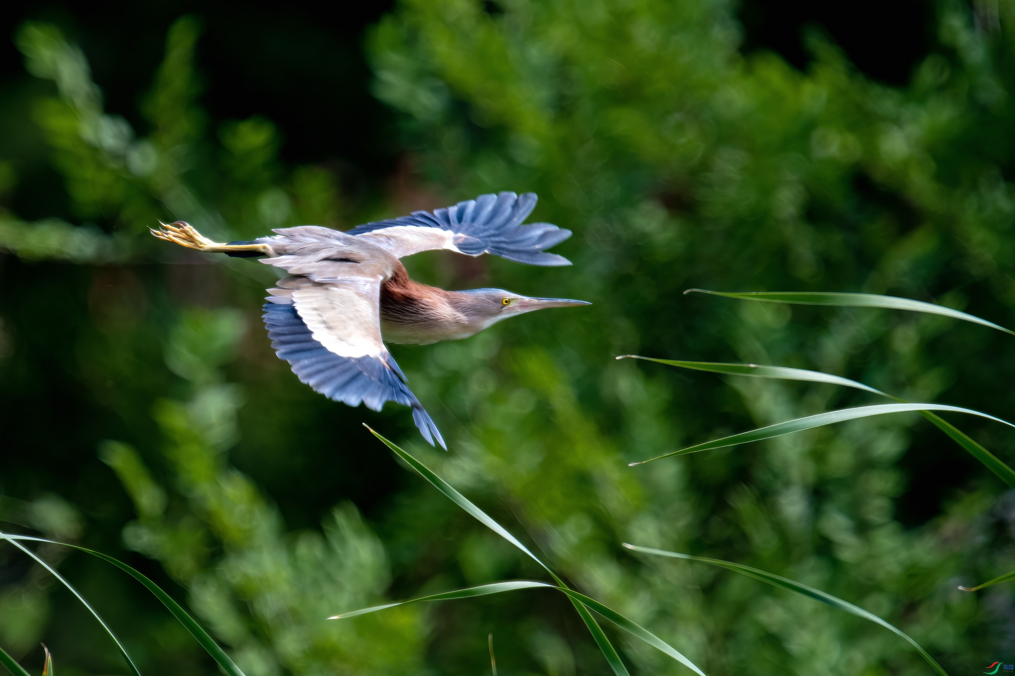 _DSC6672 ����2.jpg