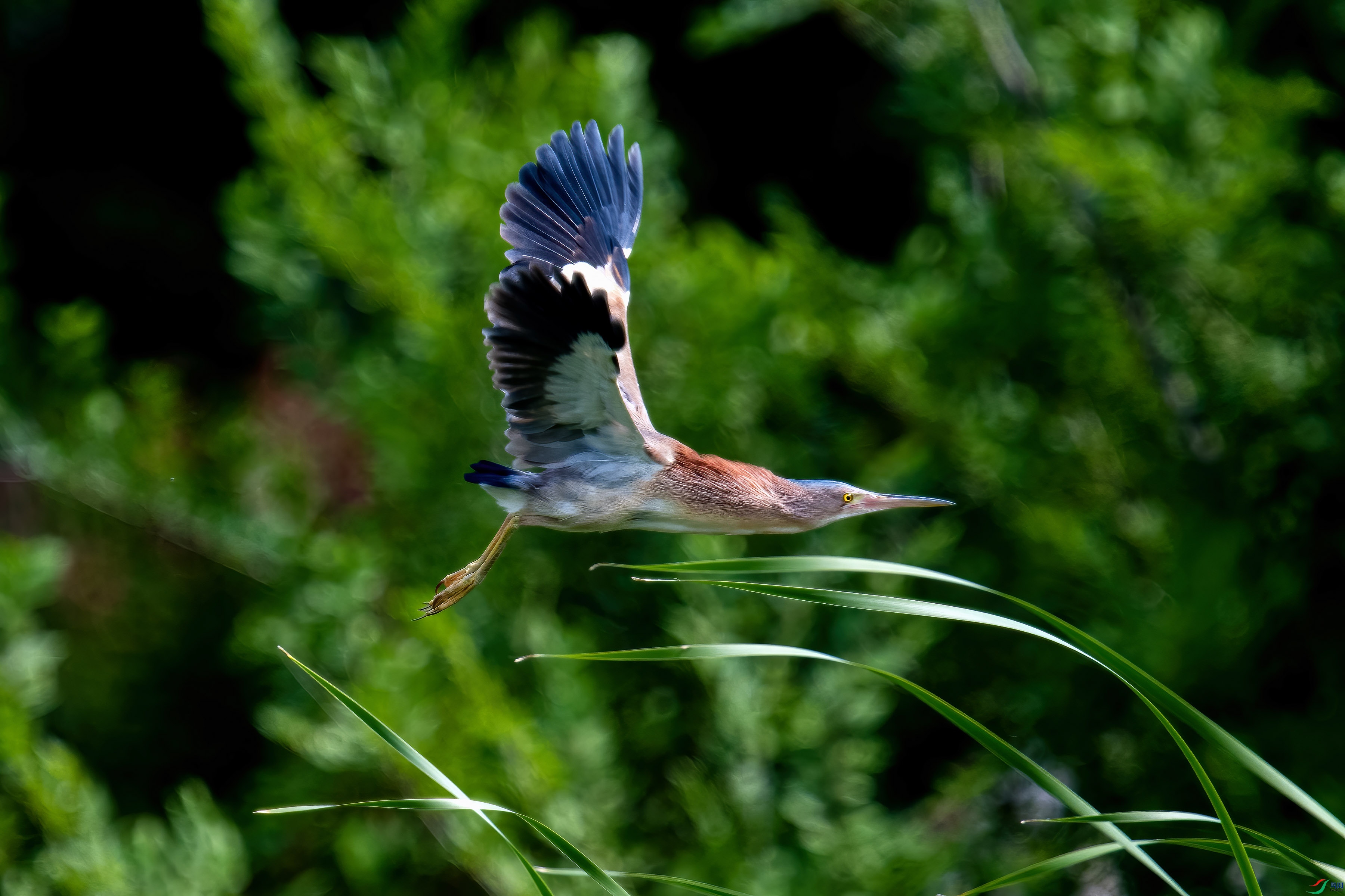 _DSC6673 ���� 2.jpg