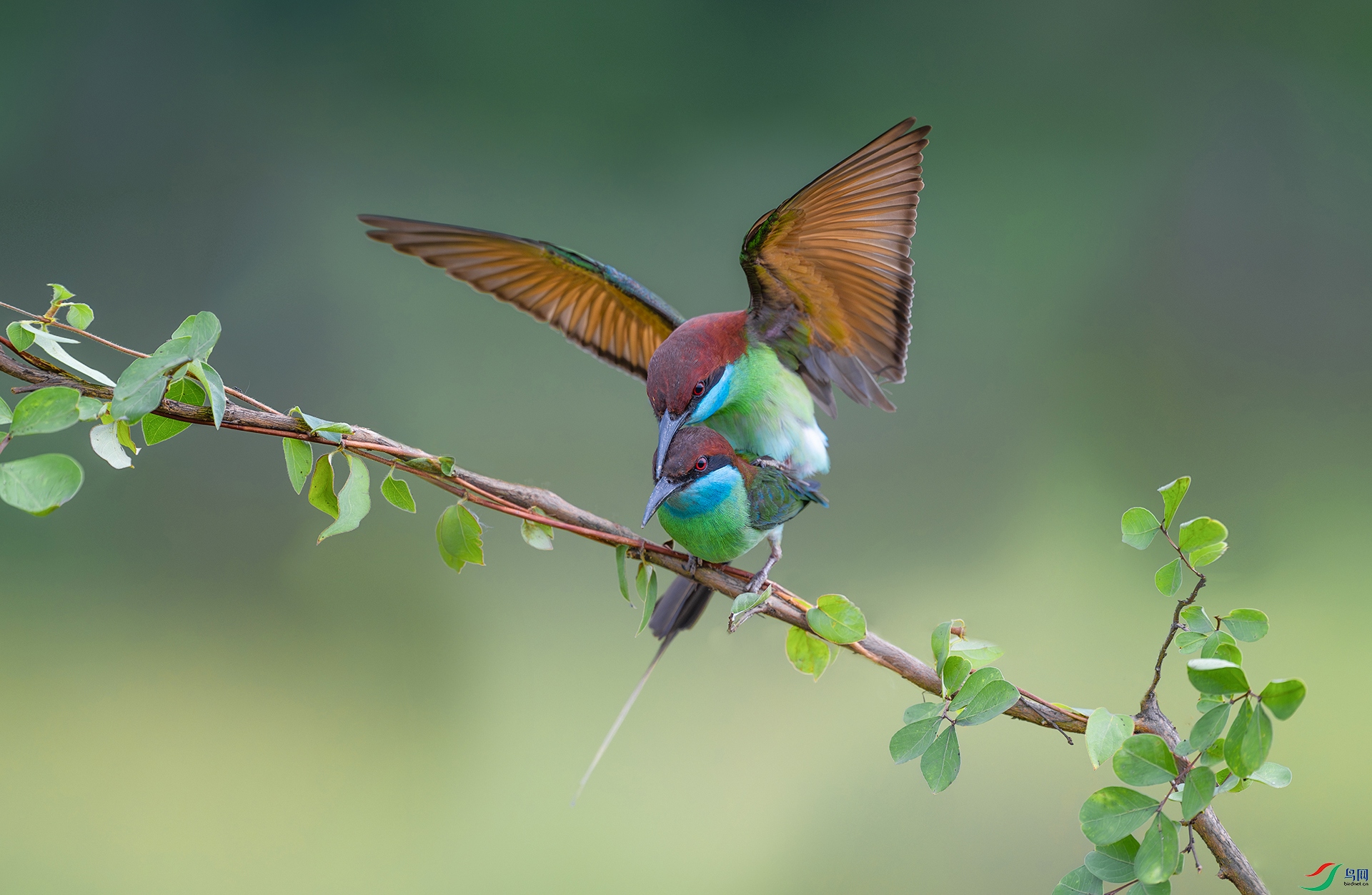 ����DSC_00642.jpg