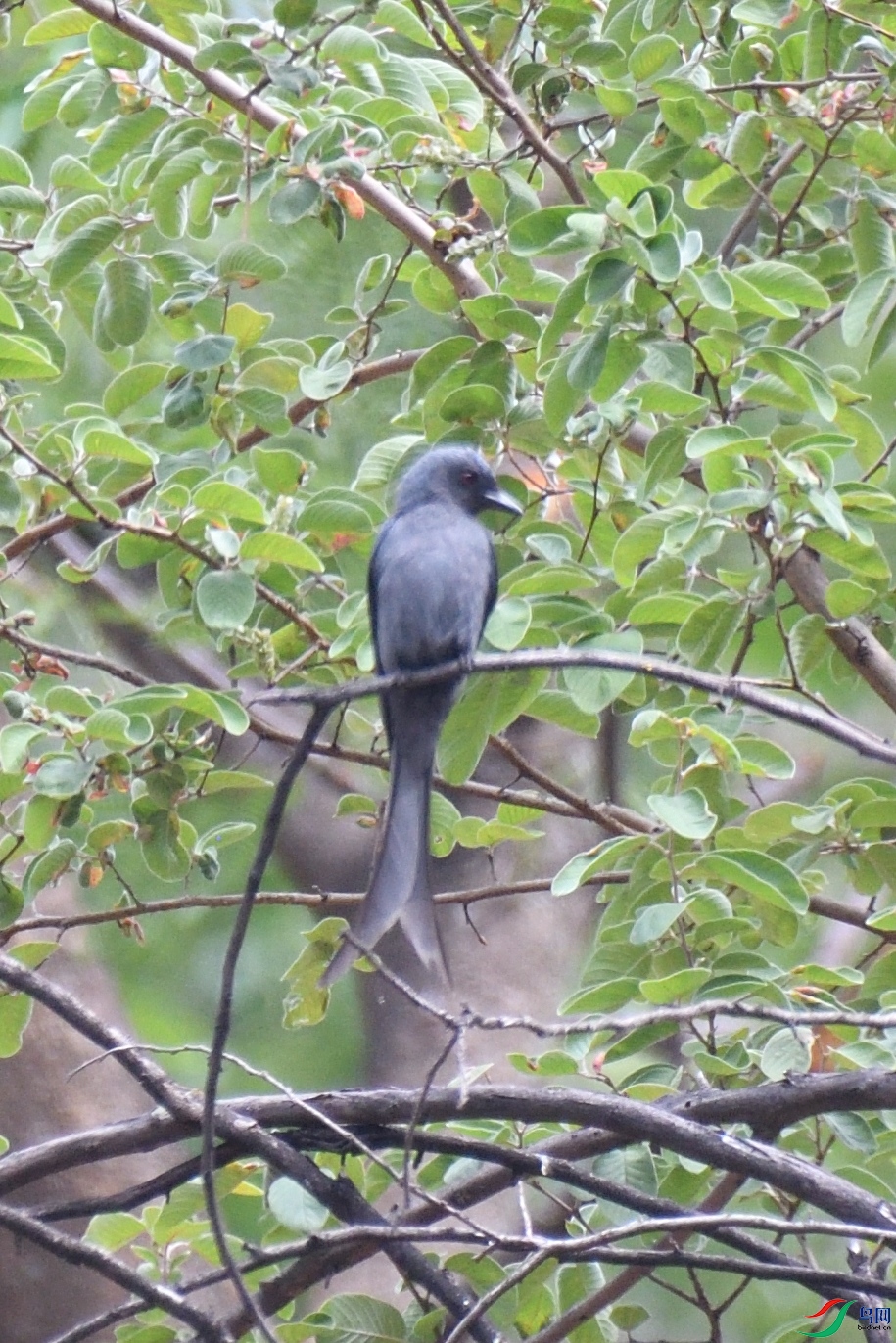 �Ƚϱ�׼��վ��