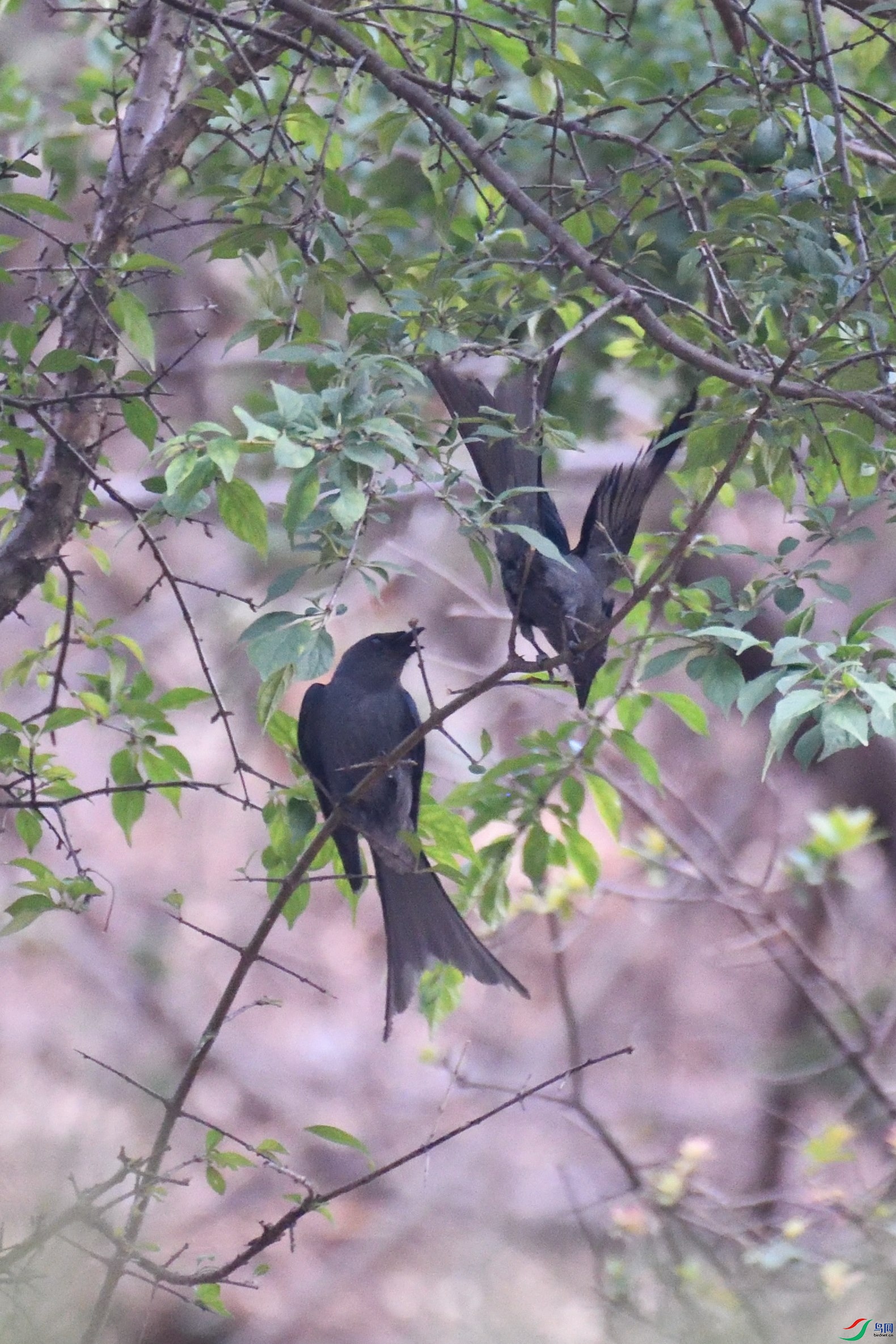 DSC_5287_00002.jpg