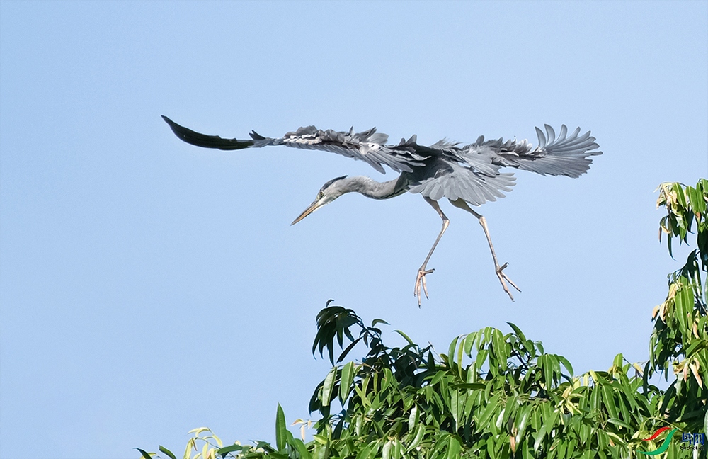 DSC_6024.jpg