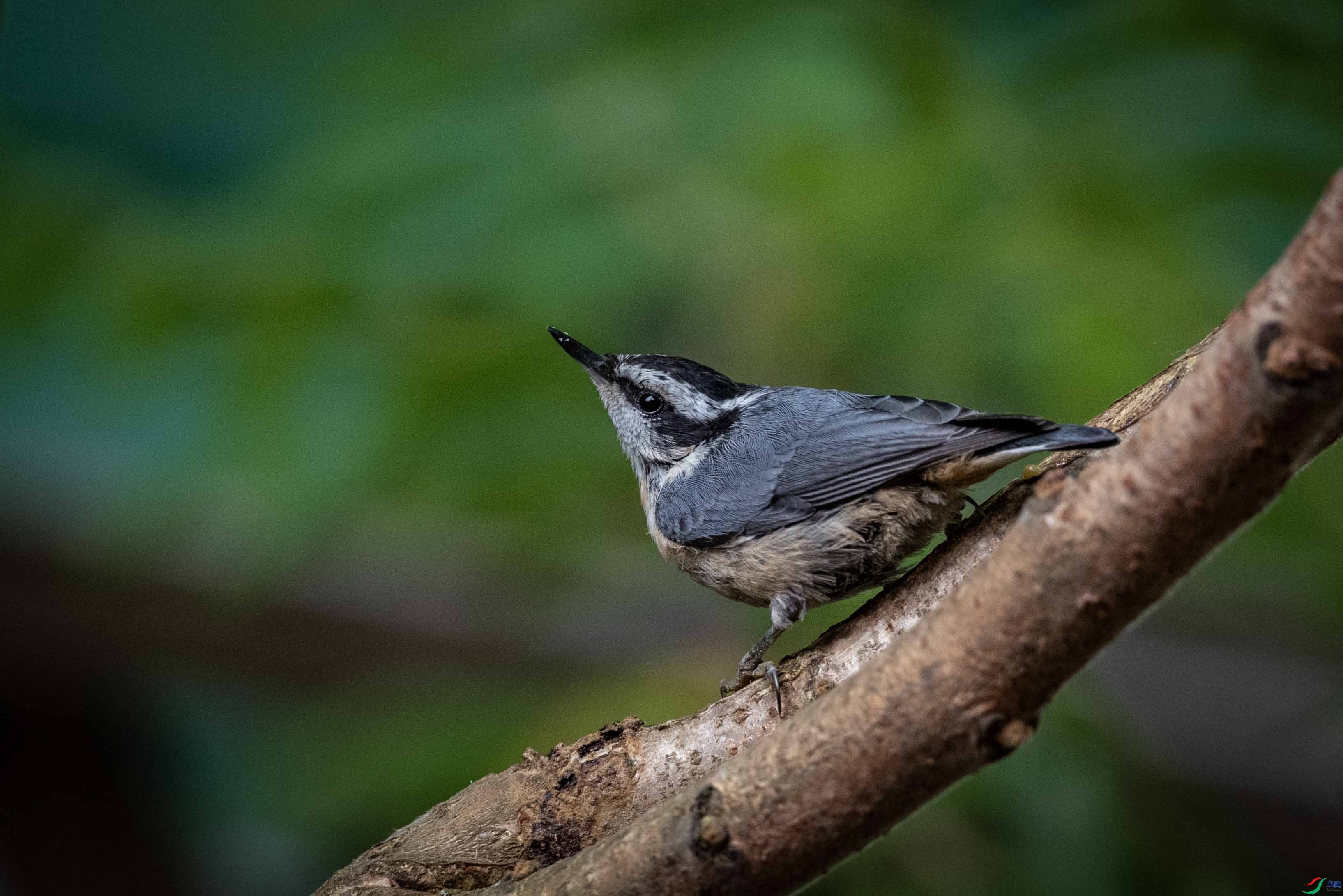 DSC_6900 ����2.jpg