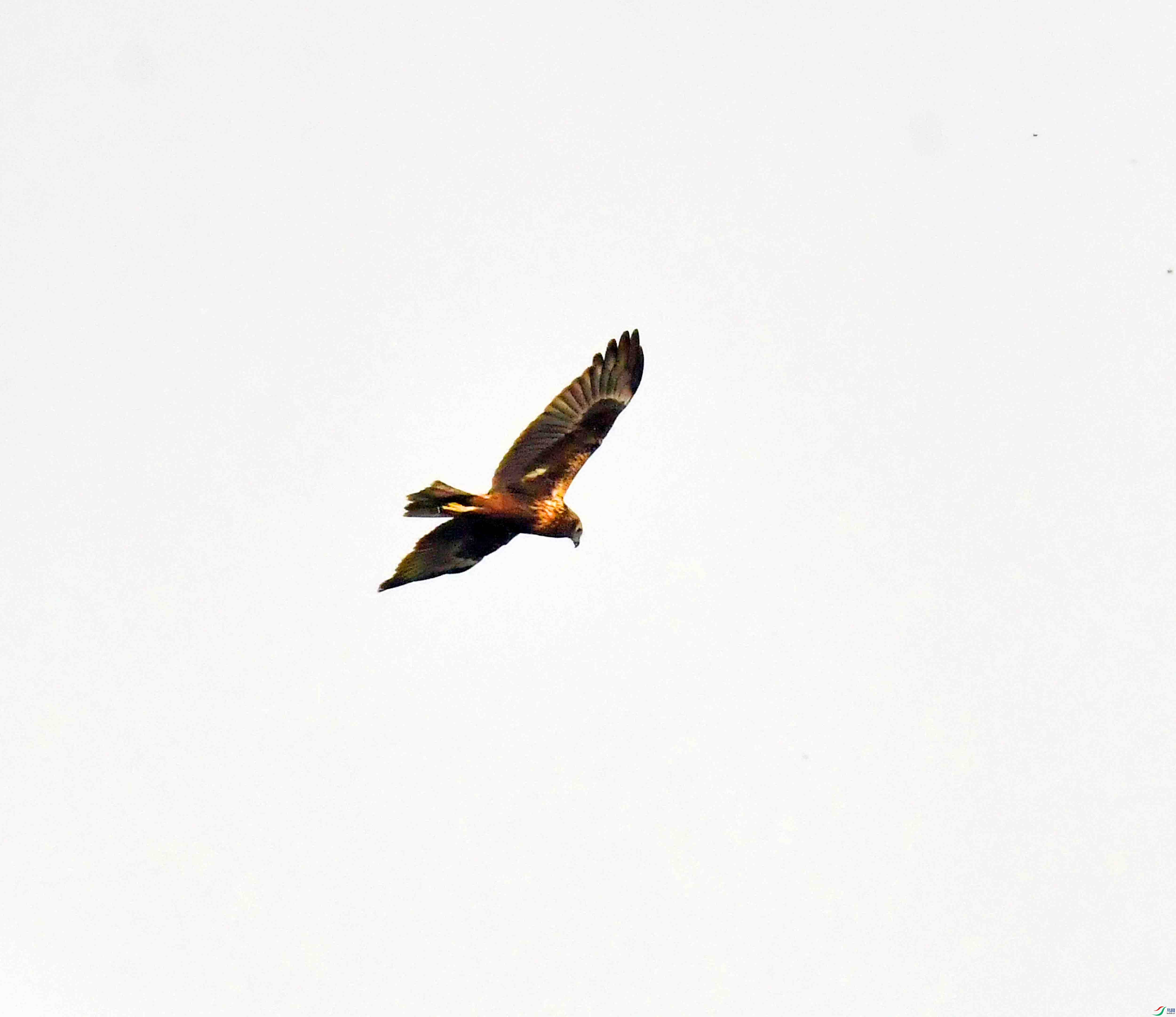 DSC_3024.JPG