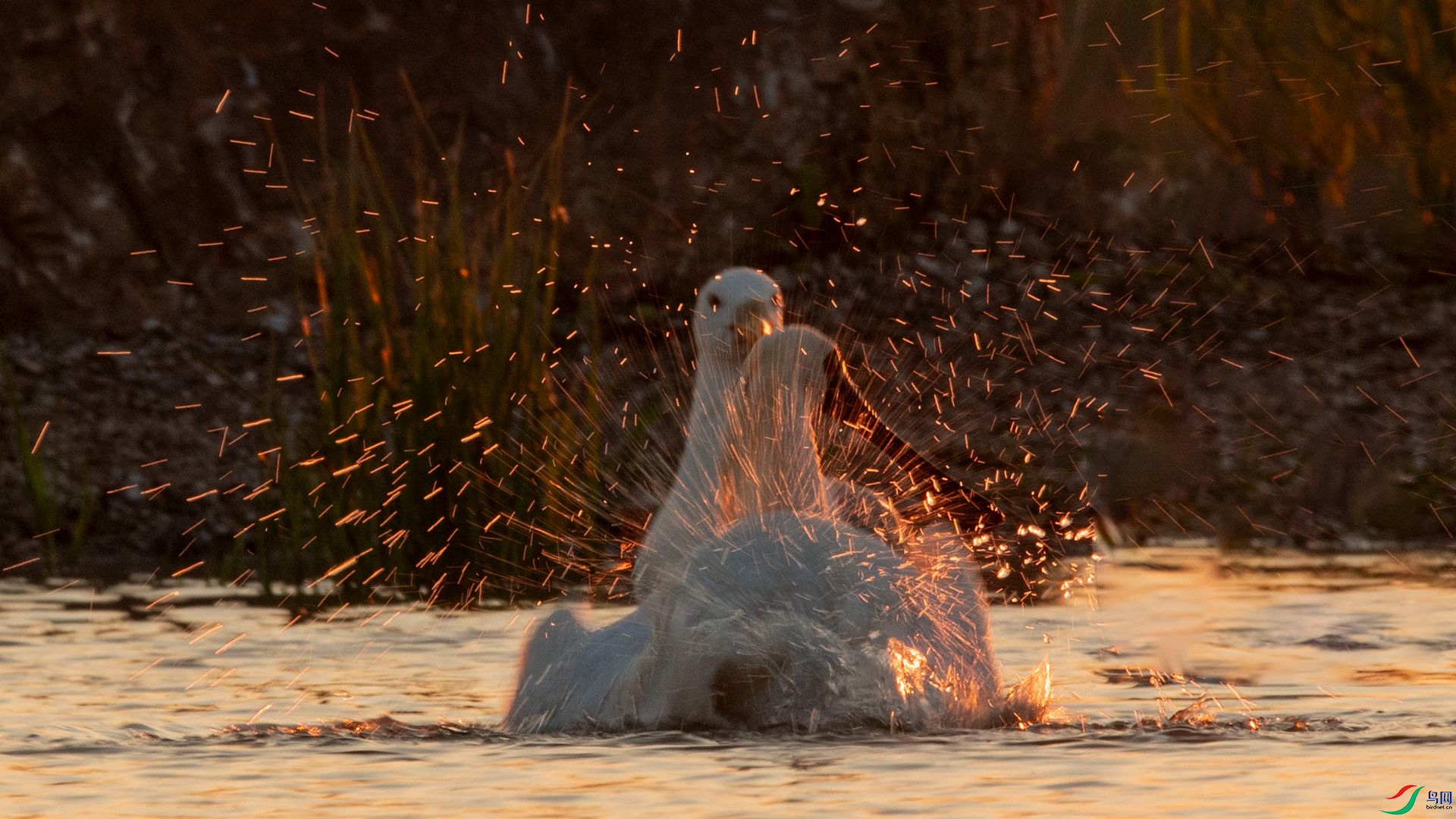 ���� ҹ�� �����ү.jpg