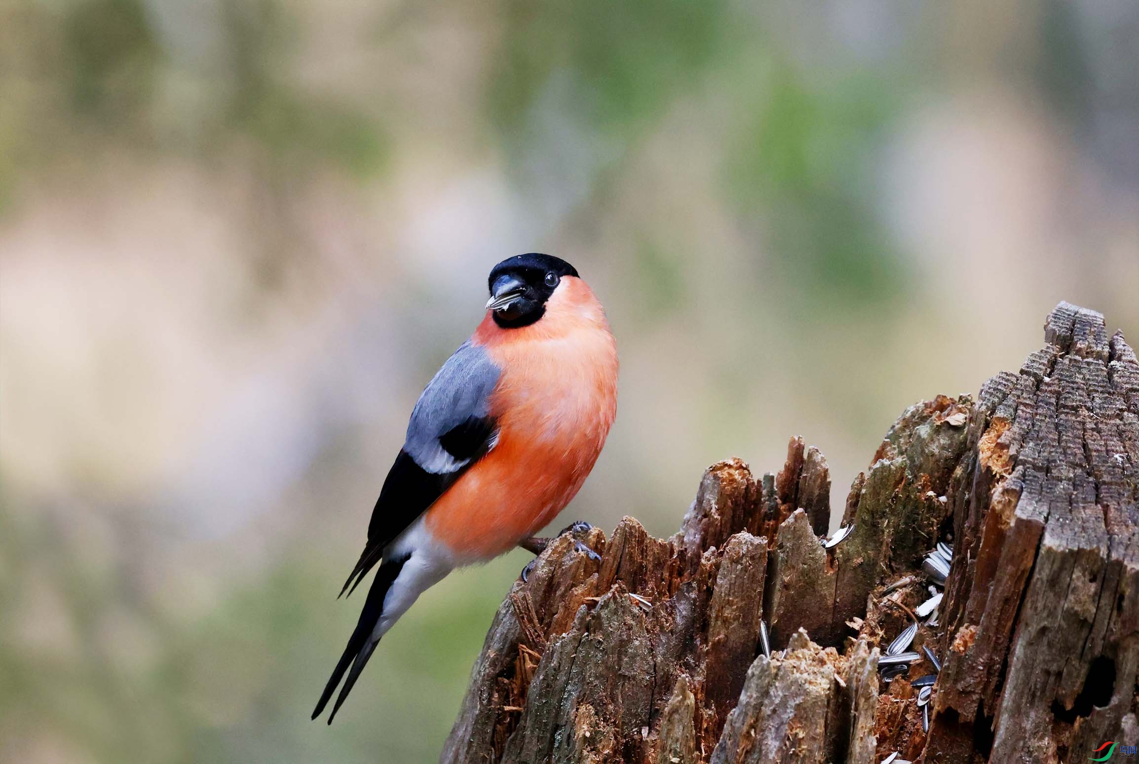 �츹��ȸŷ��ŷ���� (2).jpg