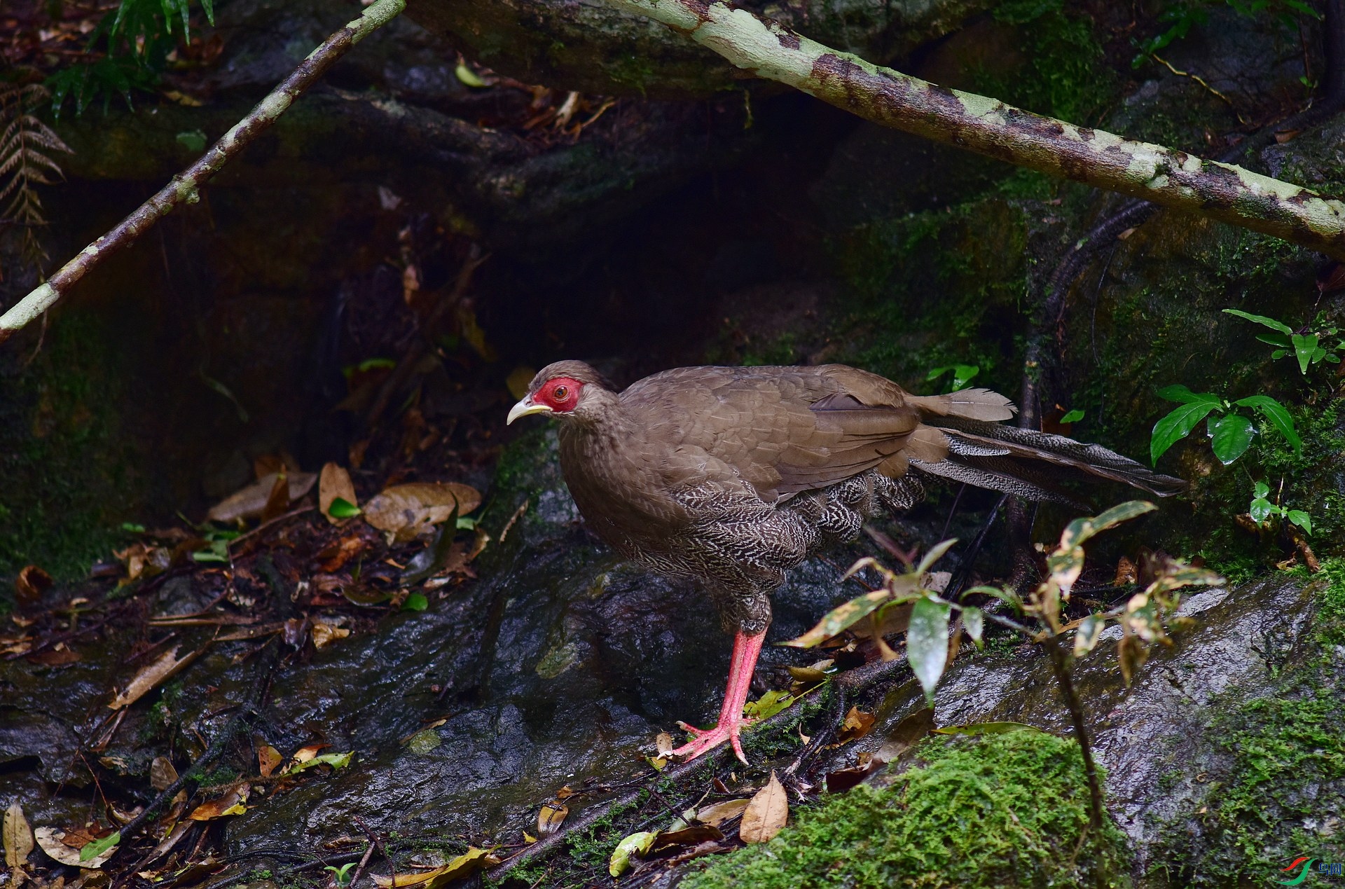 D8I_9380.jpg