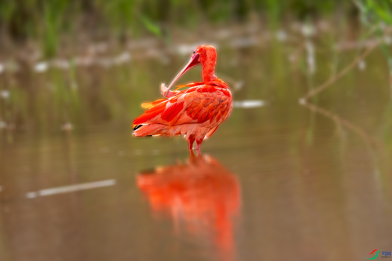 DSC09386.png   0000003.png