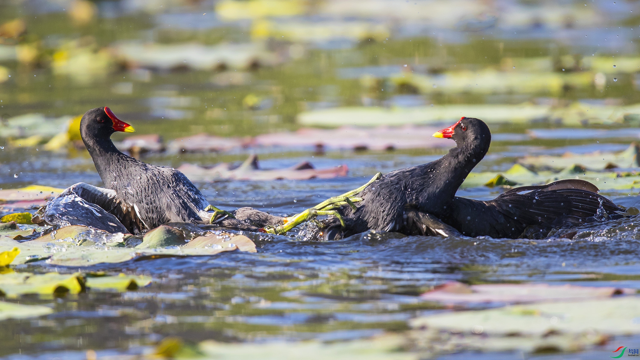 _90I7456 ���� 2.jpg