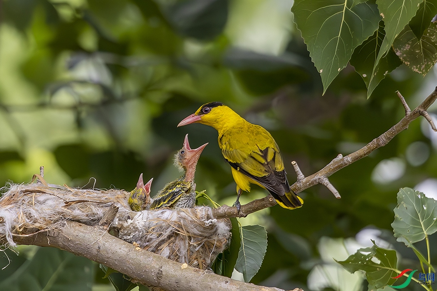 014A1052_��ͼ��-����ǿ-NR ���� 3.jpg