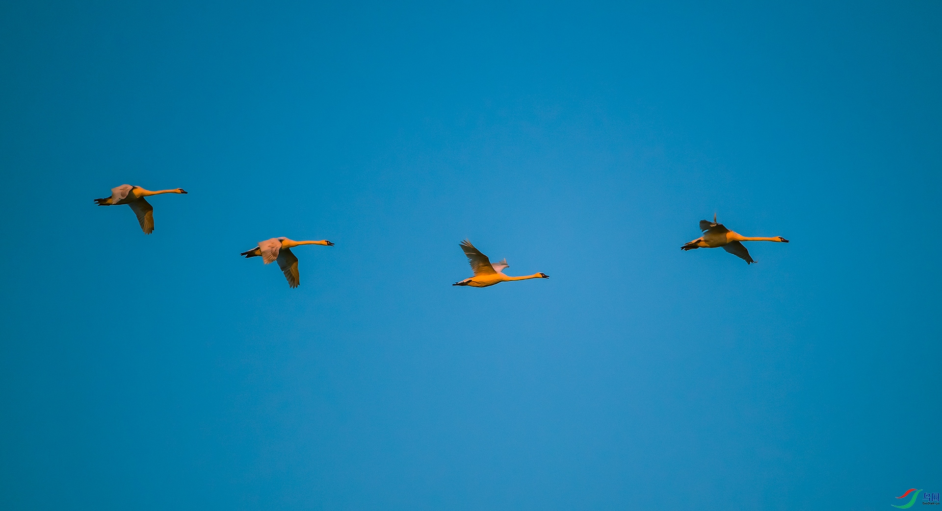 DSC_7839.jpg
