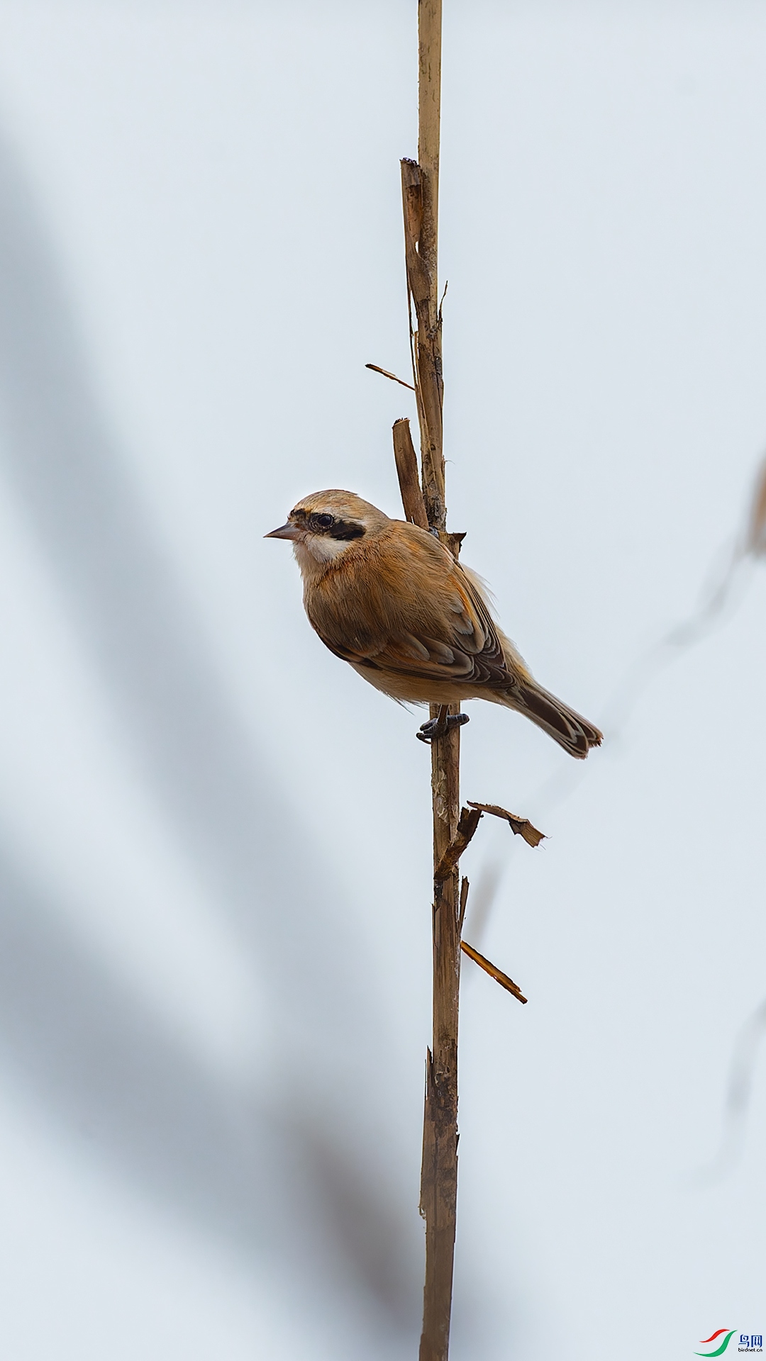 DSC_1026.jpg