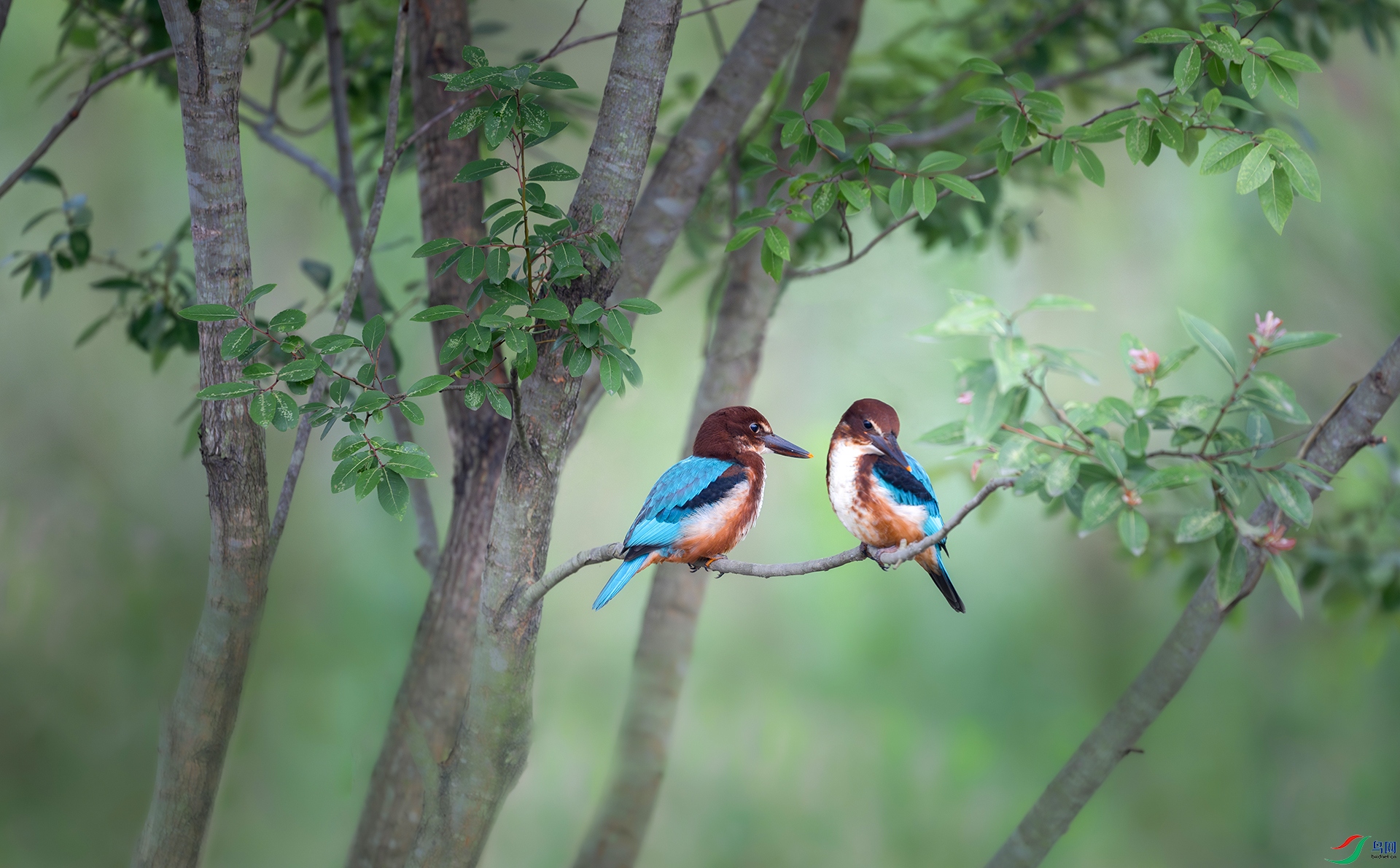 ����DSC_1787.jpg