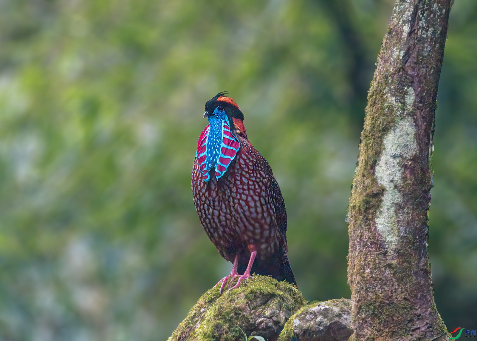 DSC_6841.jpg