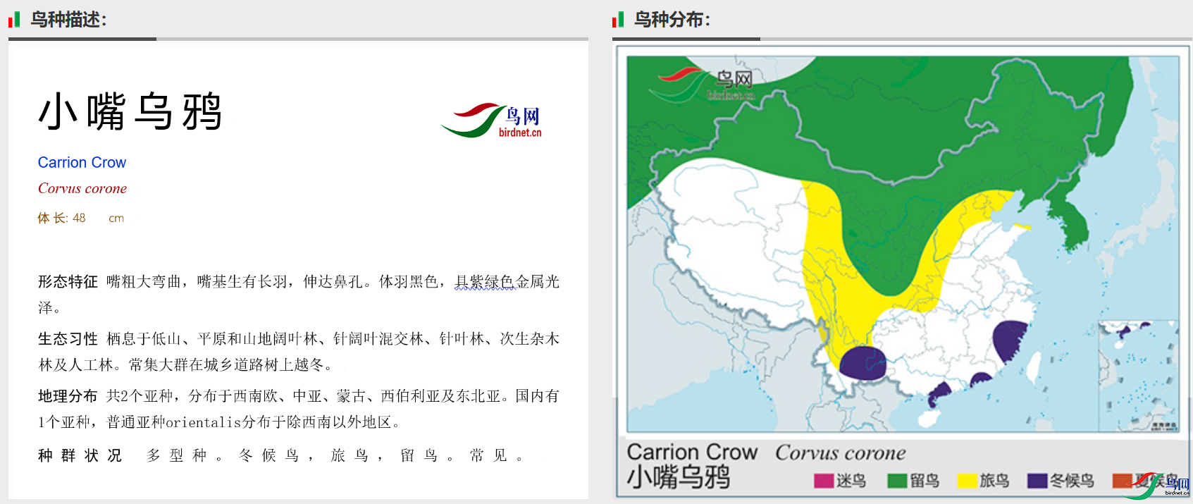 d2f47137ed03f7b59cc49e35730a83e.png