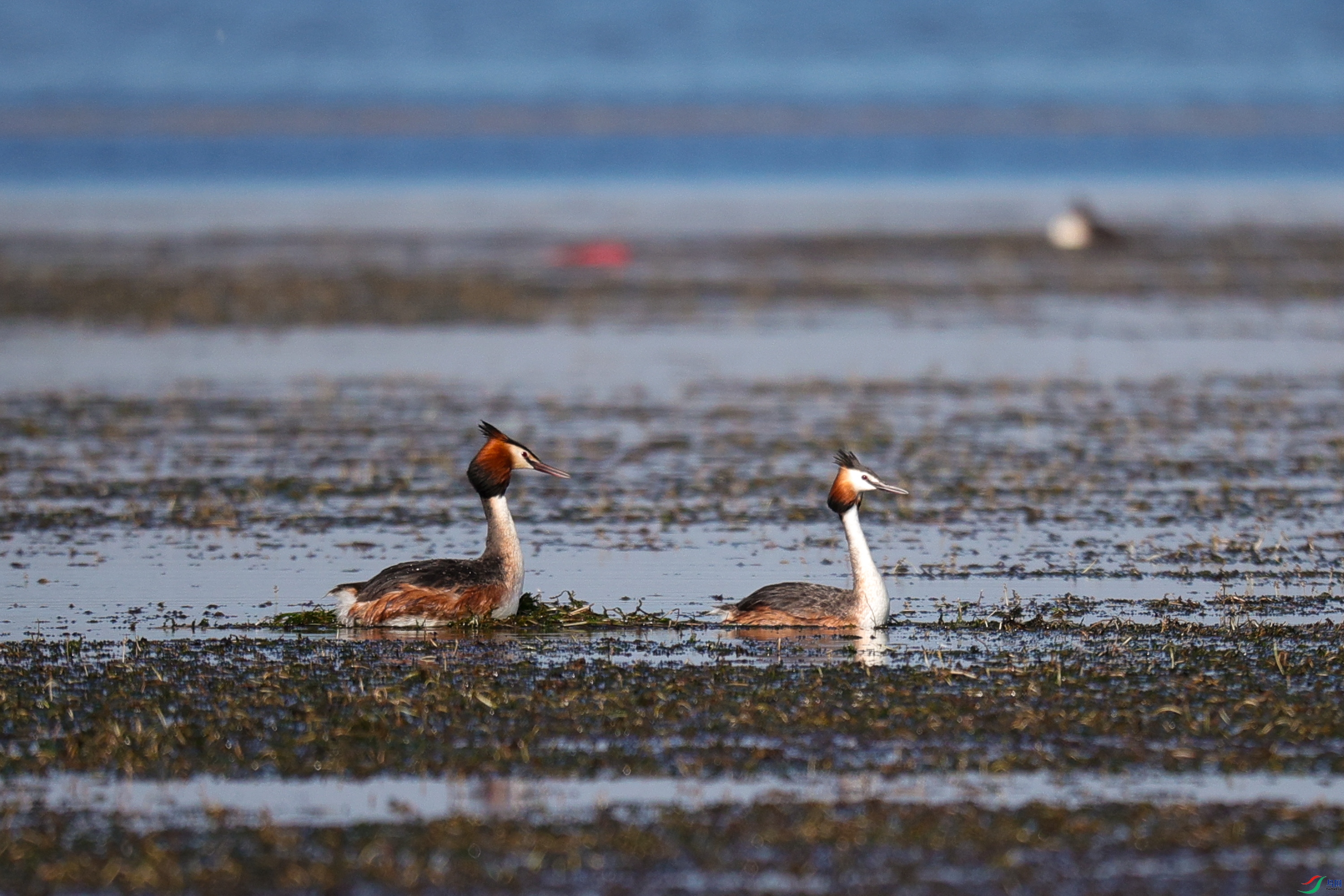 �Ҹ��Ļ������п��� 4